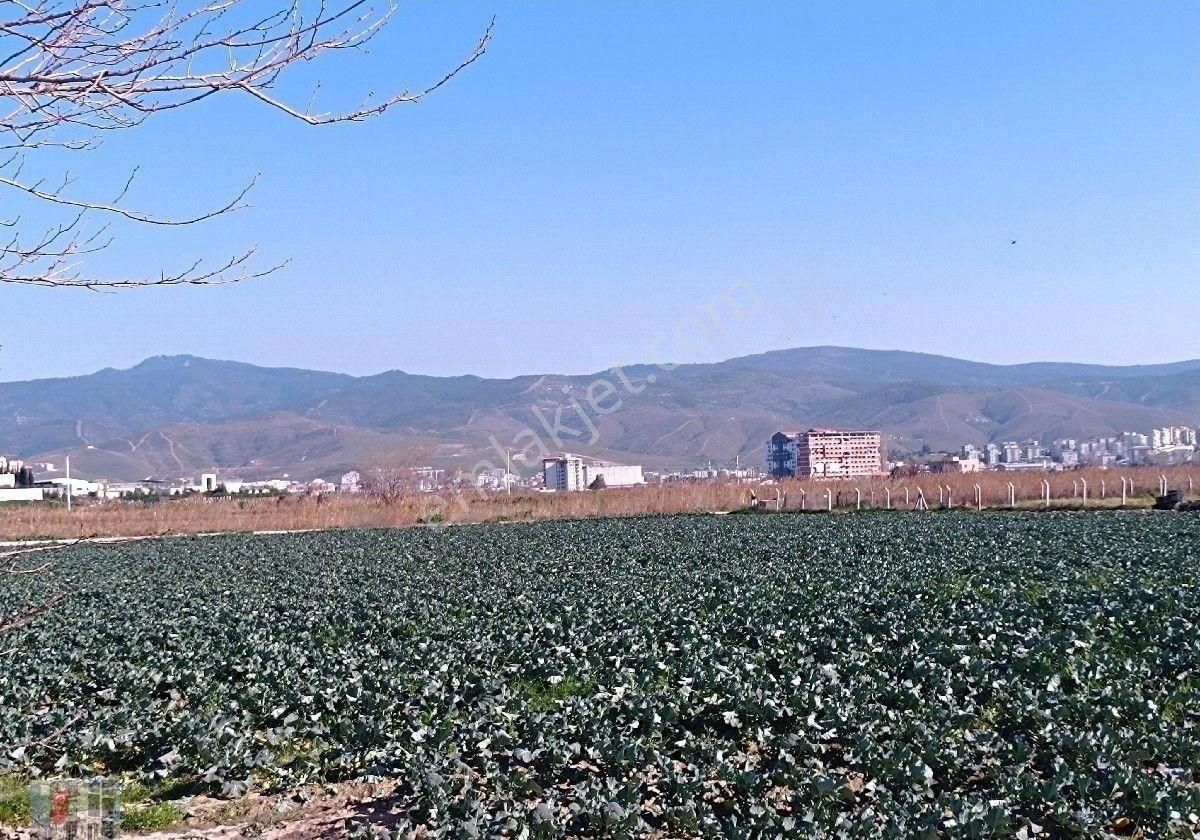 Yatırım Bölgesinde Kapalı Depo Ruhsatı Alınabilir 8512 M2 Arazi - Görsel 5