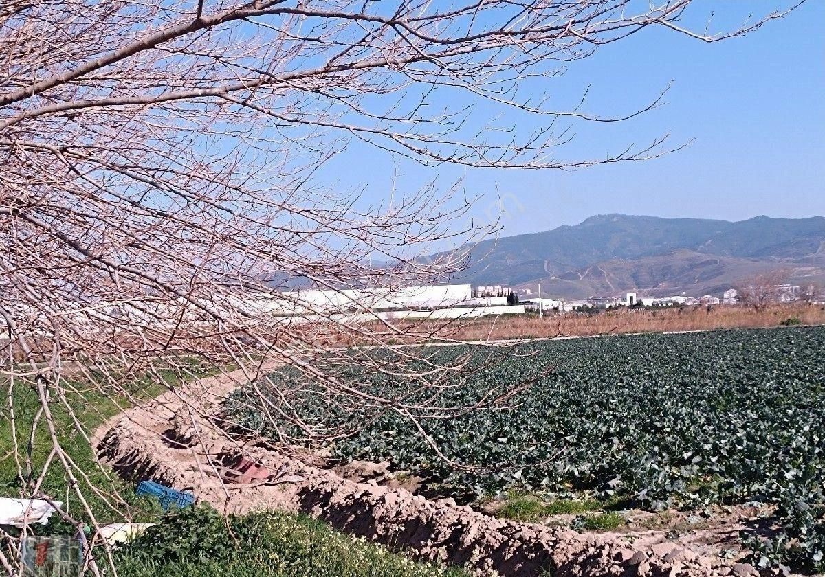 Yatırım Bölgesinde Kapalı Depo Ruhsatı Alınabilir 8512 M2 Arazi - Görsel 14