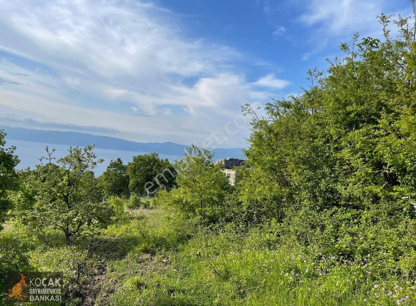 Muhteşem Doğa Ve Göl Manzarasıyla Göllüce Köyünde 3981m2 Arazi - Görsel 4