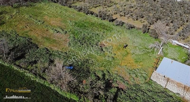 A Plus Gayrimenkulden Mahmutlarda Köy Altı Satılık Tarla - Görsel 11