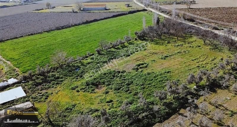 A Plus Gayrimenkulden Mahmutlarda Köy Altı Satılık Tarla - Görsel 13