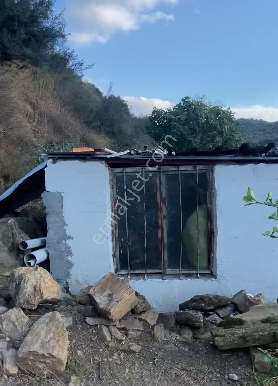 Satılık Müstakil Köy Evi Söke Sayrakçı Köyünde - Görsel 4