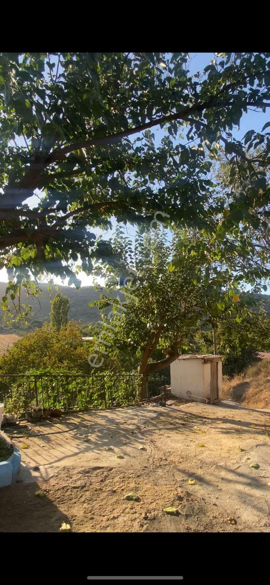 Satılık Müstakil Köy Evi Söke Sayrakçı Köyünde - Görsel 11