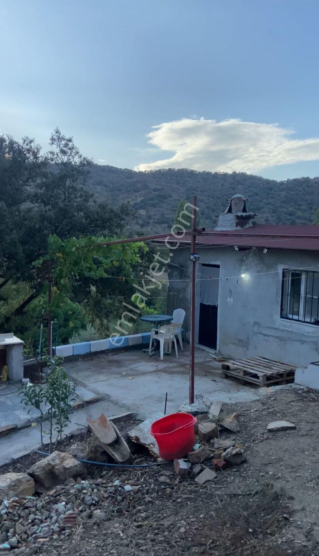 Satılık Müstakil Köy Evi Söke Sayrakçı Köyünde - Görsel 6