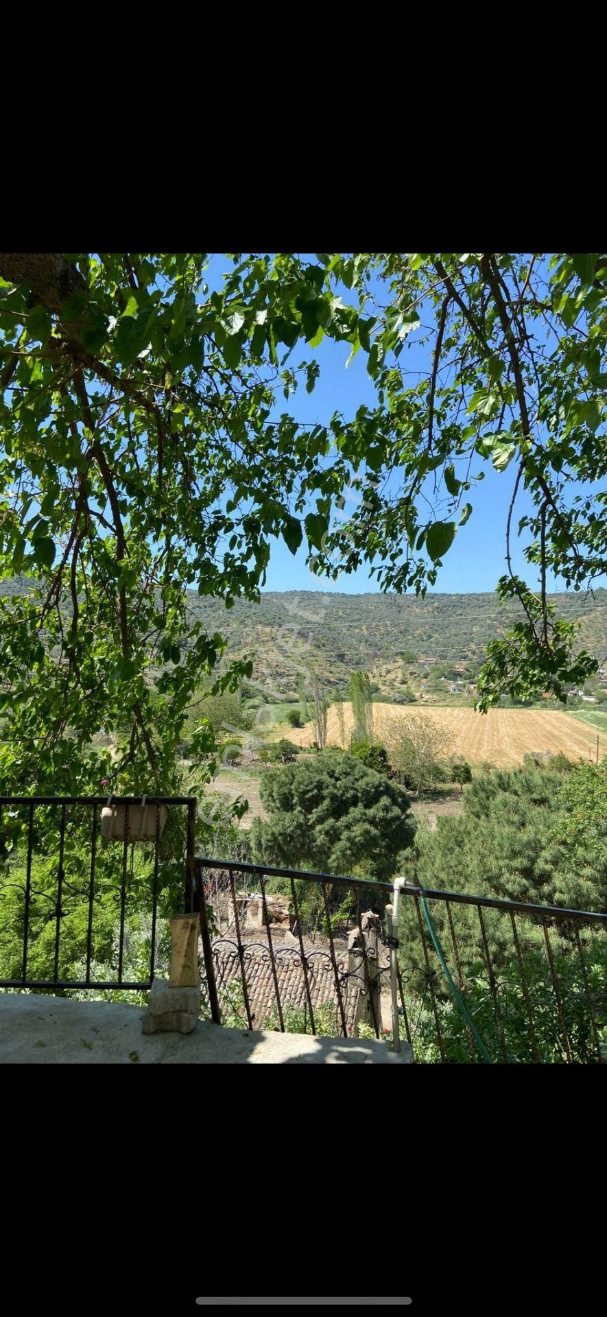 Satılık Müstakil Köy Evi Söke Sayrakçı Köyünde - Görsel 8