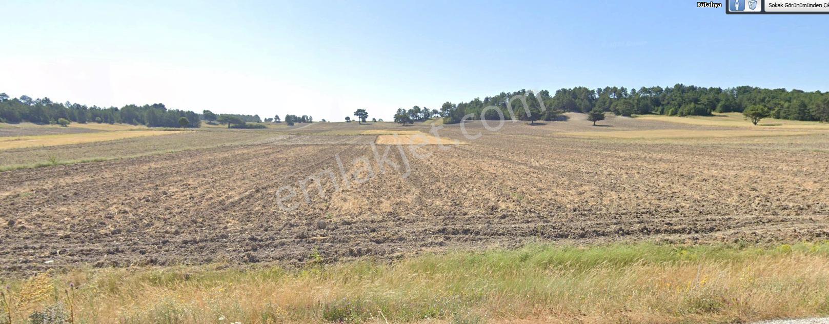 Kütahya Aslanapa 1.184 M2 İlçe Asfaltına Yakın Dümdüz Arazi - Görsel 5