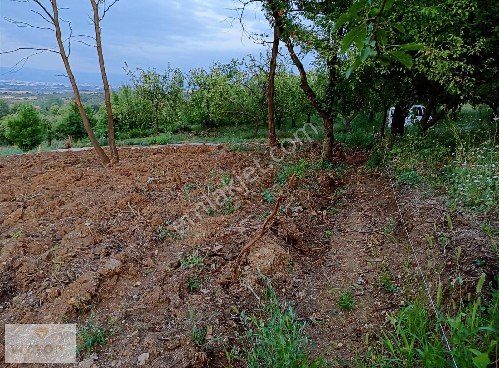 Akincilar Köyü/inegöl Satilik 534 M2 Bahce Manzaralı Köye 100 Mt - Görsel 18