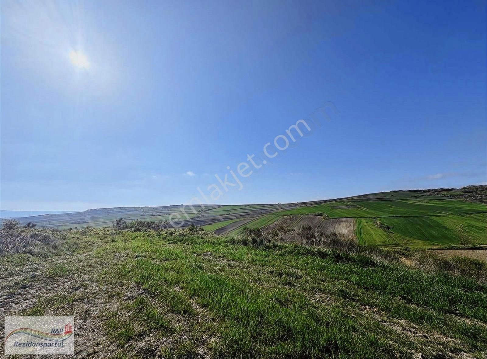 Çatalca Örencik Satılık Tarla Çatalca Örencik Te Satılık 20.000m2 Yol Üzerinde Arsa