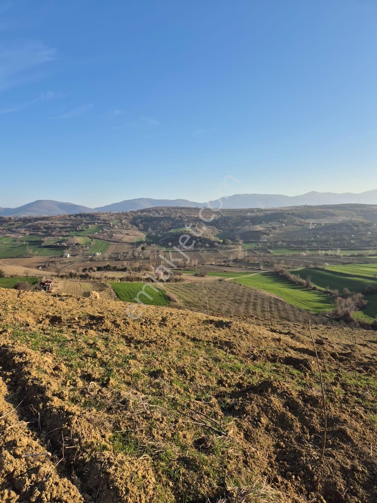 Tekirdağ Süleymanpaşa Canakçı 51400 M2 Satılık Cevizlik - Görsel 2