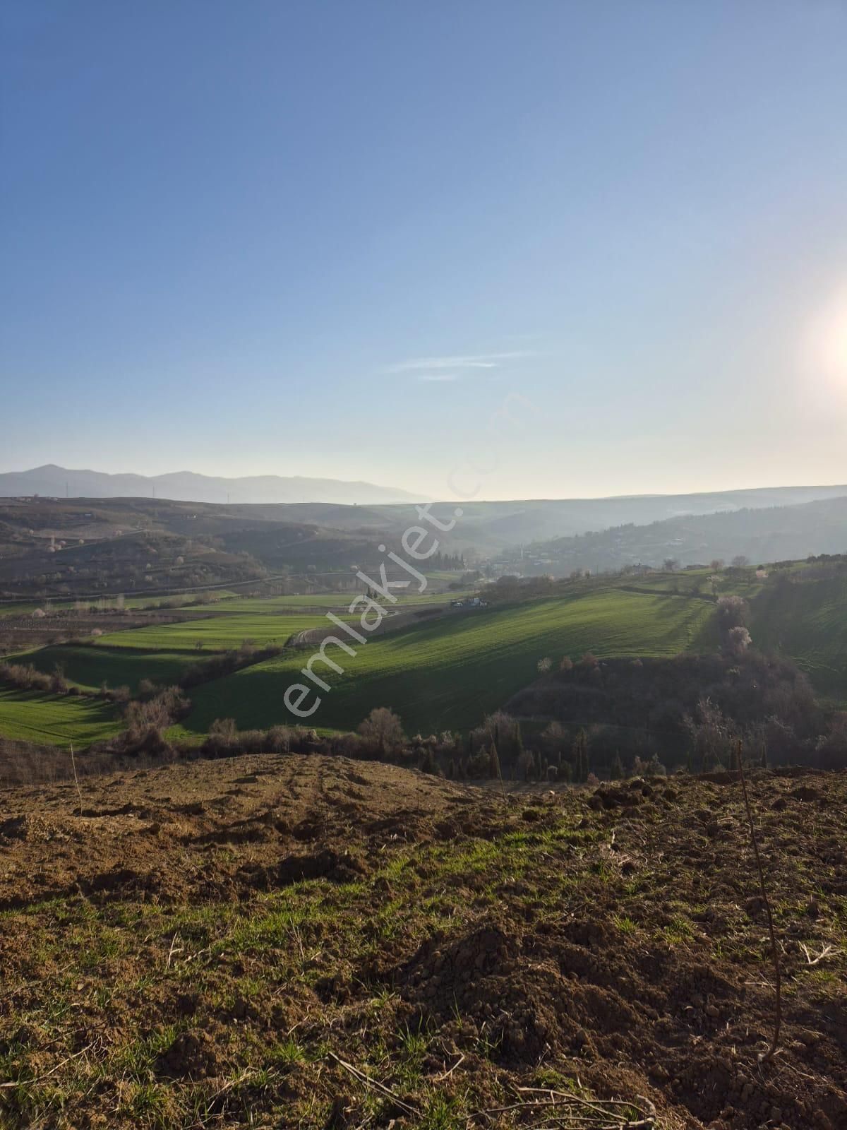 Tekirdağ Süleymanpaşa Canakçı 51400 M2 Satılık Cevizlik - Görsel 11