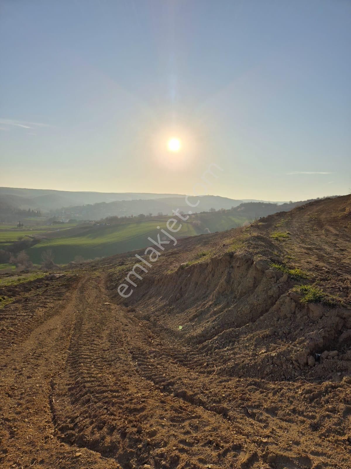 Tekirdağ Süleymanpaşa Canakçı 51400 M2 Satılık Cevizlik - Görsel 9