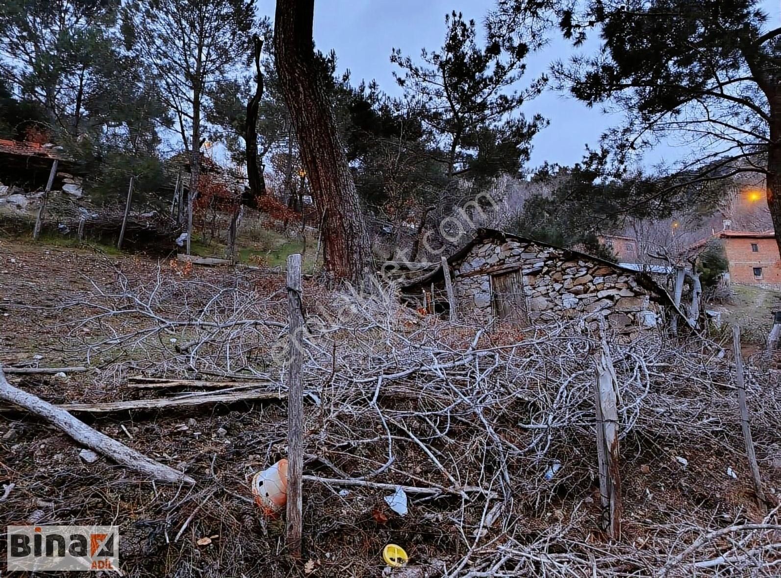 Bergama Çobanlar Satılık Bağ & Bahçe Bergama Çobanlar Mahallesi Satılık Bahçe