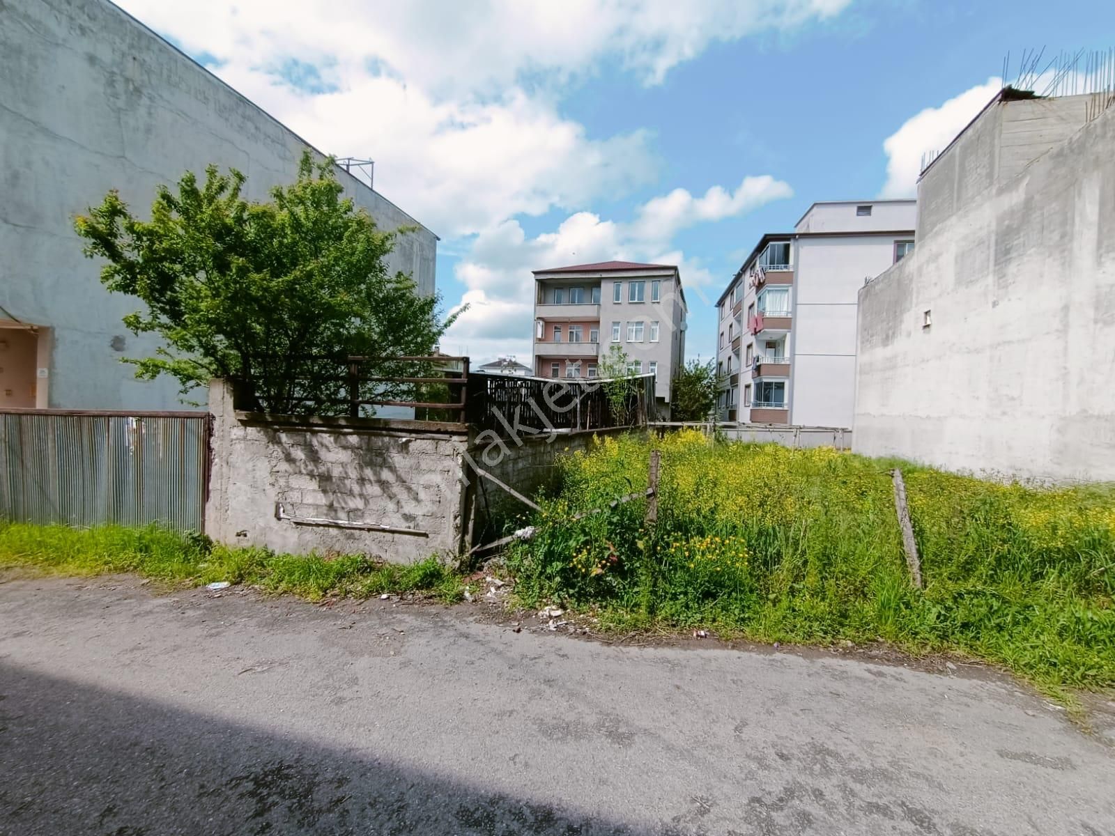 A.y.s. Gayrimenkul Den Kiralık Depo Luk 500 M2 Arsa - Görsel 3