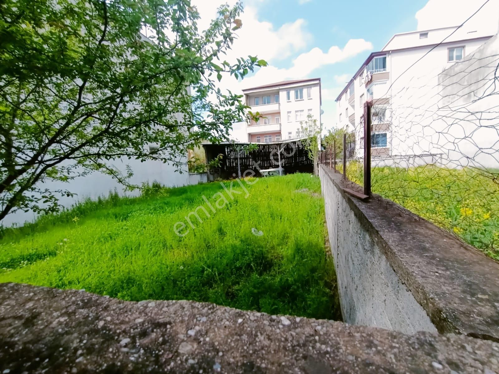 A.y.s. Gayrimenkul Den Kiralık Depo Luk 500 M2 Arsa - Görsel 2