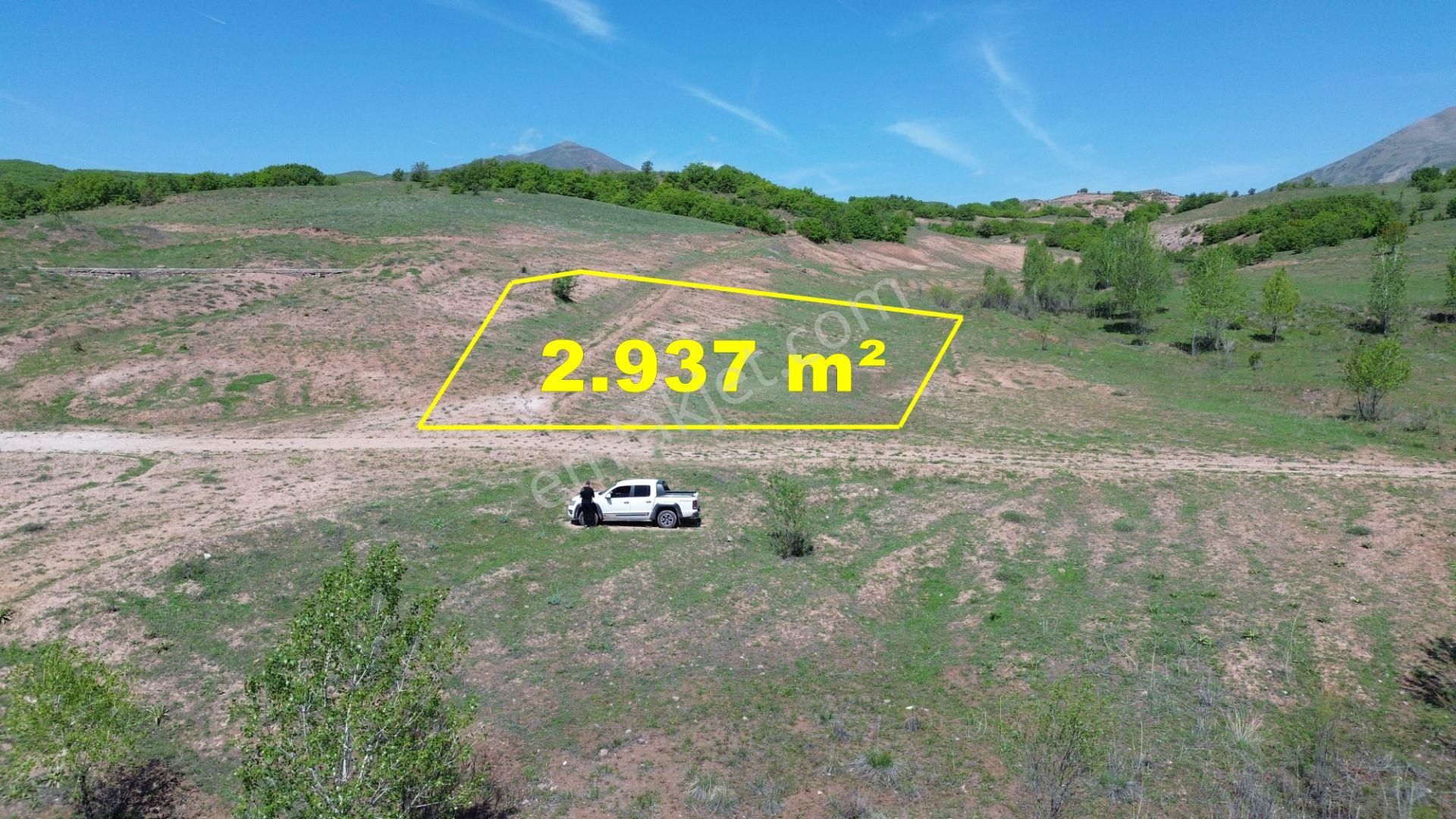 Bingöl / Kığı / Duranlar Mahallesinde 2.937 M² Müstakil Tapulu