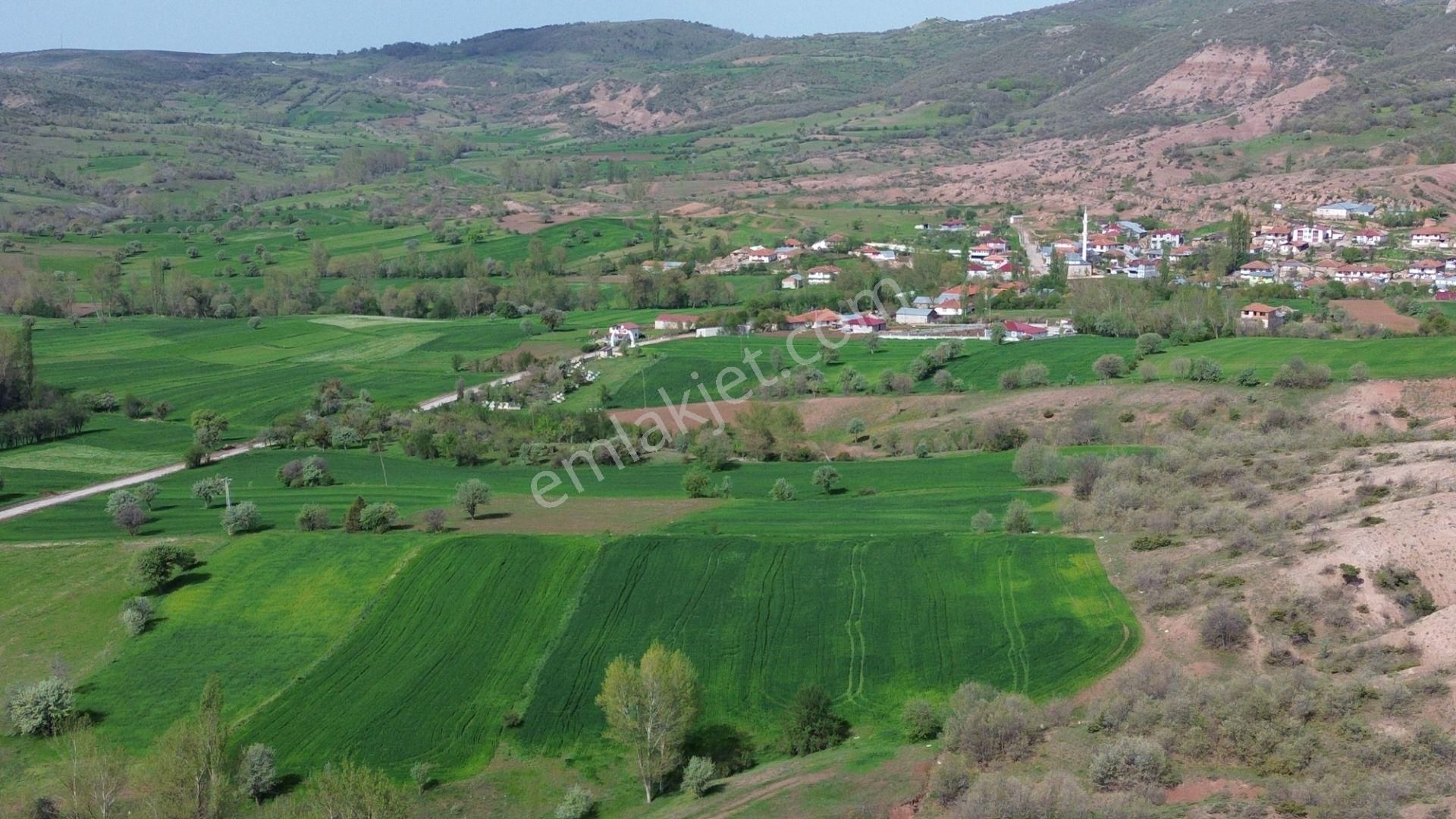 Artova / Devecikarkın Mahallesinde 500 M² Müstakil Tapulu - Görsel 6
