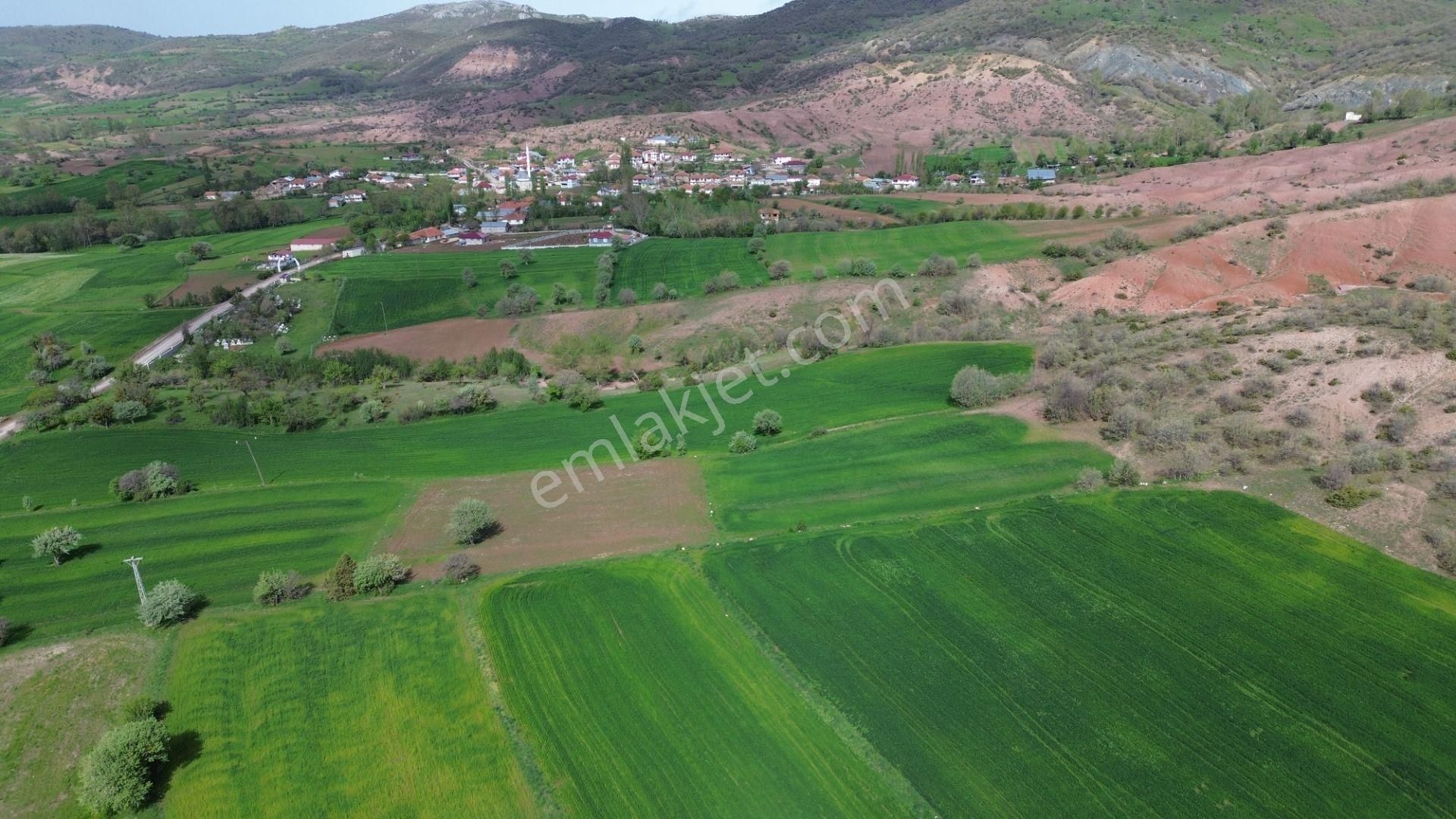 Artova / Devecikarkın Mahallesinde 500 M² Müstakil Tapulu - Görsel 9