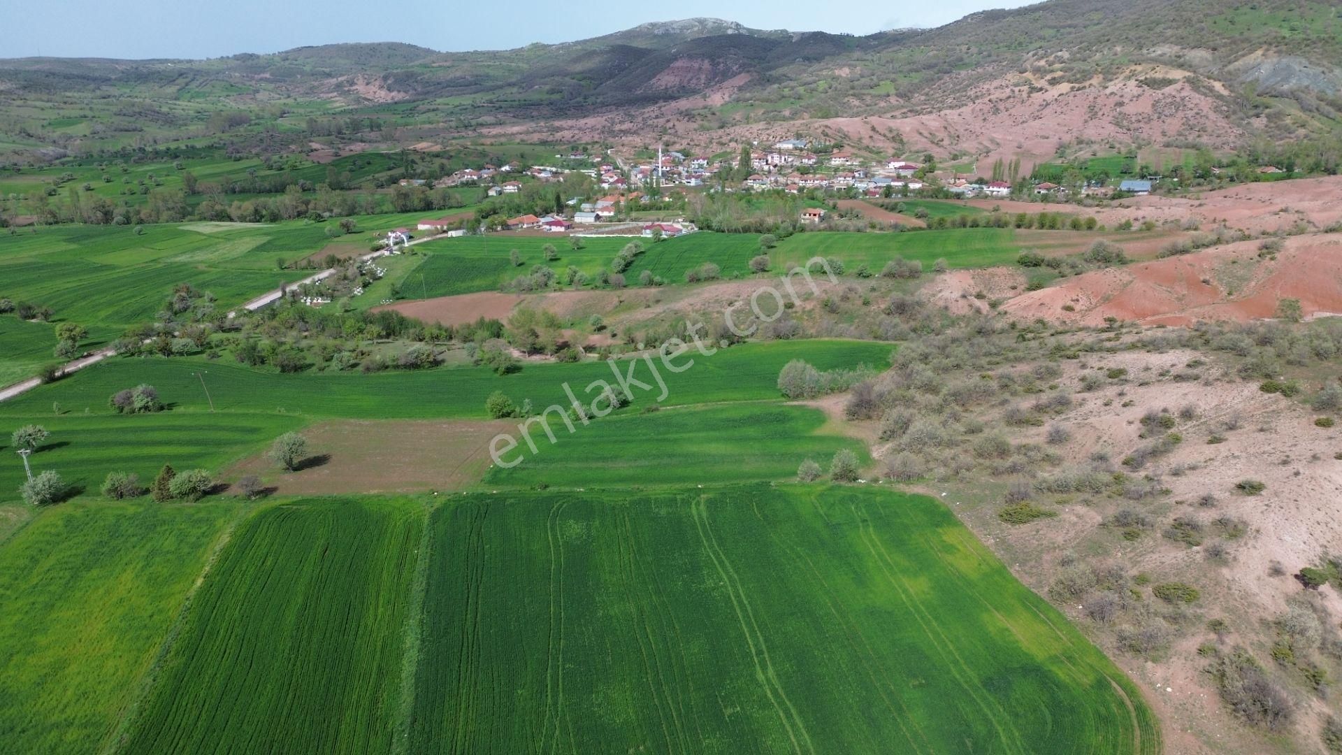 Artova / Devecikarkın Mahallesinde 500 M² Müstakil Tapulu - Görsel 8