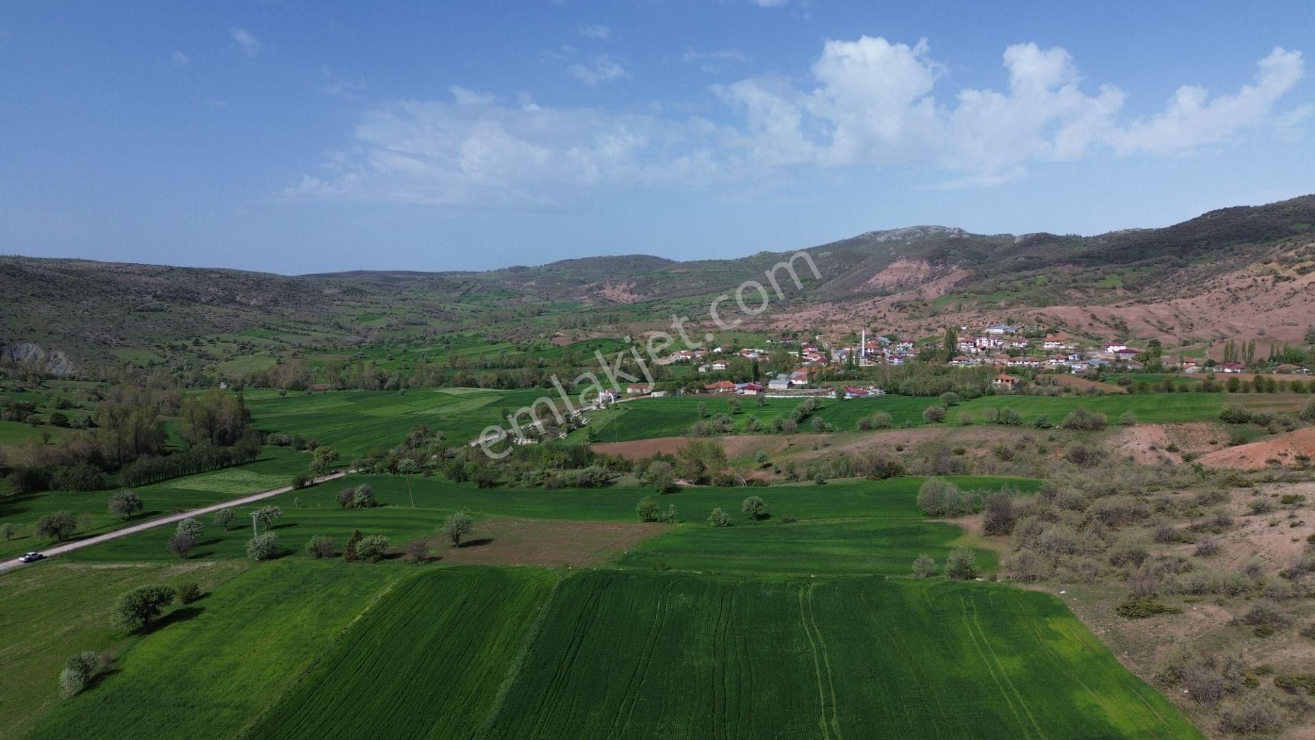 Artova / Devecikarkın Mahallesinde 500 M² Müstakil Tapulu - Görsel 5
