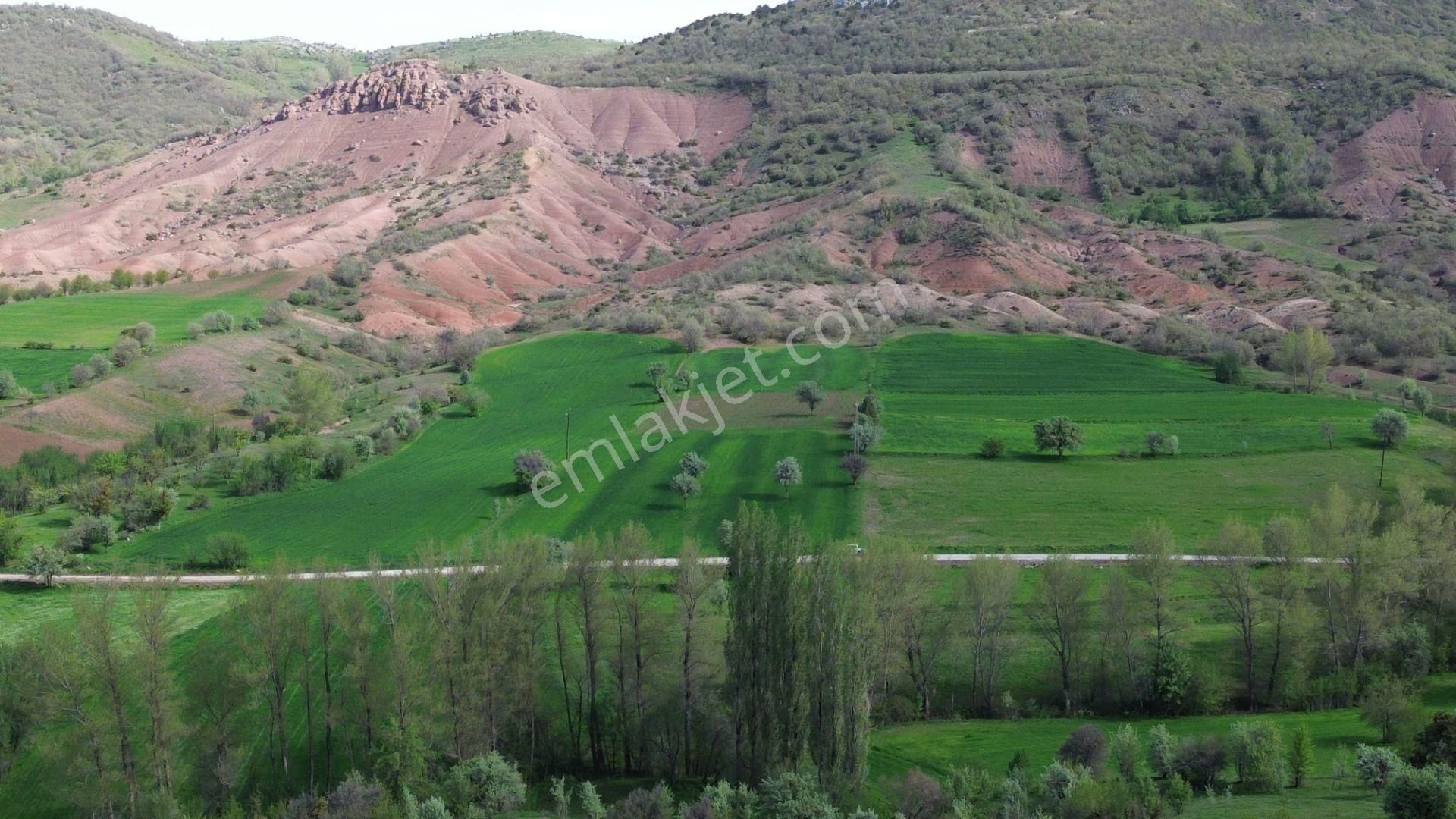 Artova / Devecikarkın Mahallesinde 500 M² Müstakil Tapulu - Görsel 4