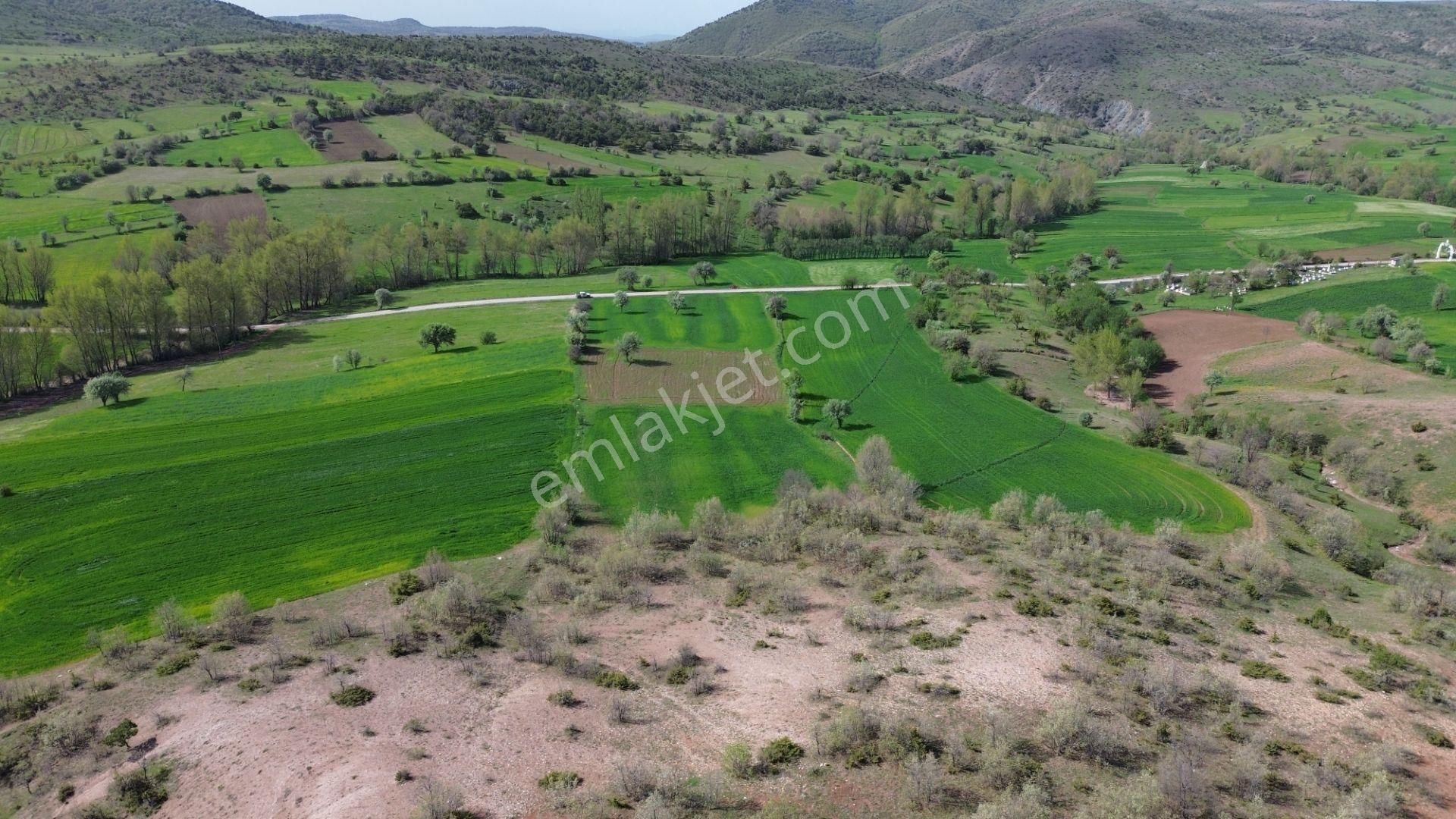 Artova / Devecikarkın Mahallesinde 500 M² Müstakil Tapulu - Görsel 7