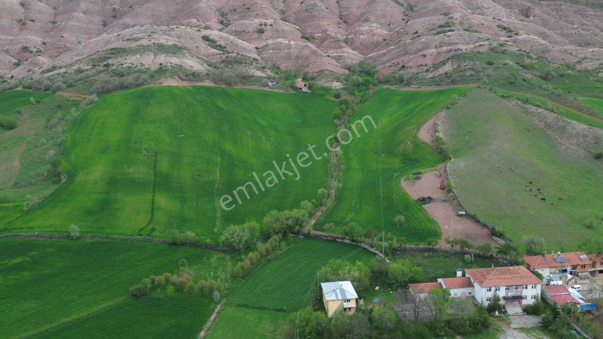 Tokat Artova Ağmusa Mahallesin De 4.851 M² Müstakil Tapulu Tarla - Görsel 9