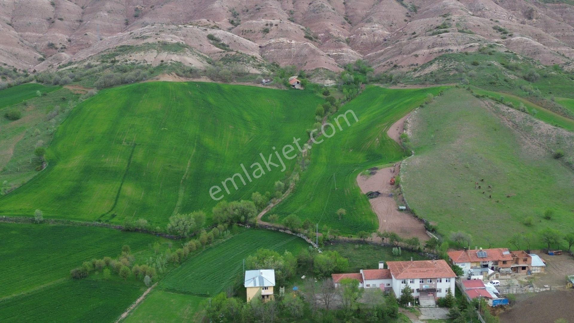 Tokat Artova Ağmusa Mahallesin De 4.851 M² Müstakil Tapulu Tarla - Görsel 8