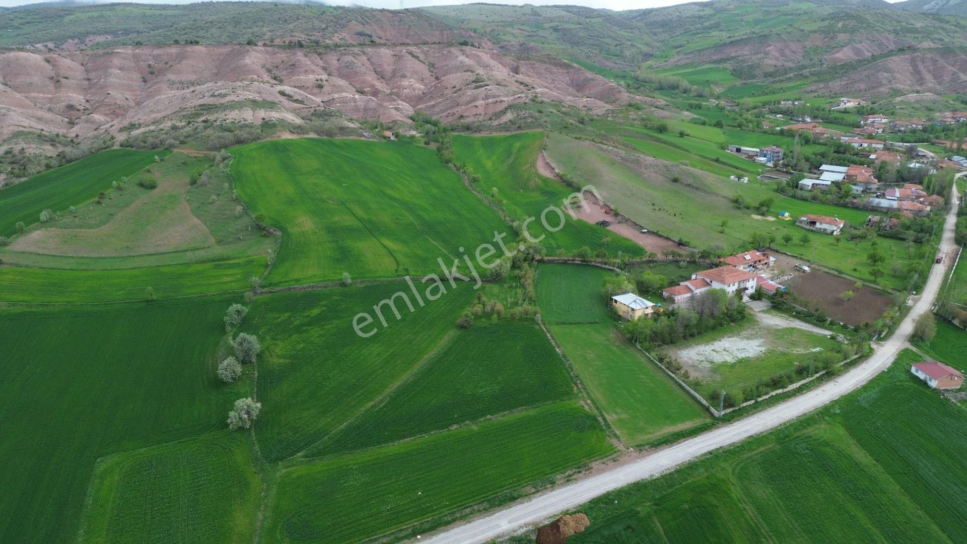 Tokat Artova Ağmusa Mahallesin De 4.851 M² Müstakil Tapulu Tarla - Görsel 5
