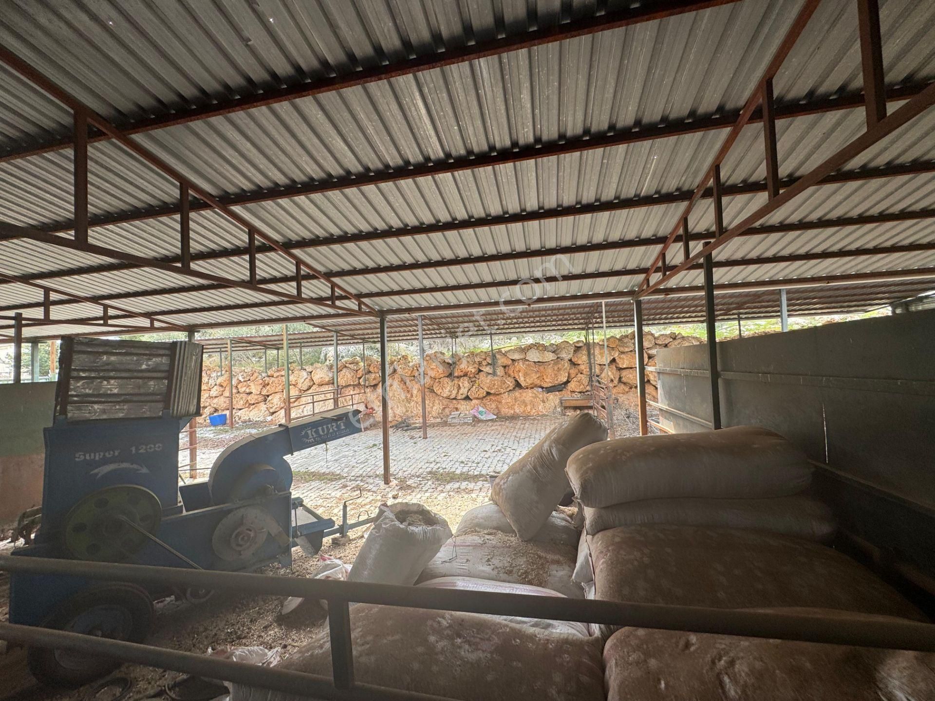 Mersin Silifke Ovacık'da Satılık Çiftlik - Görsel 10