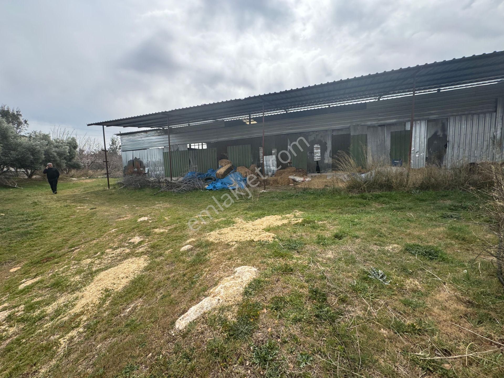 Mersin Silifke Ovacık'da Satılık Çiftlik - Görsel 21