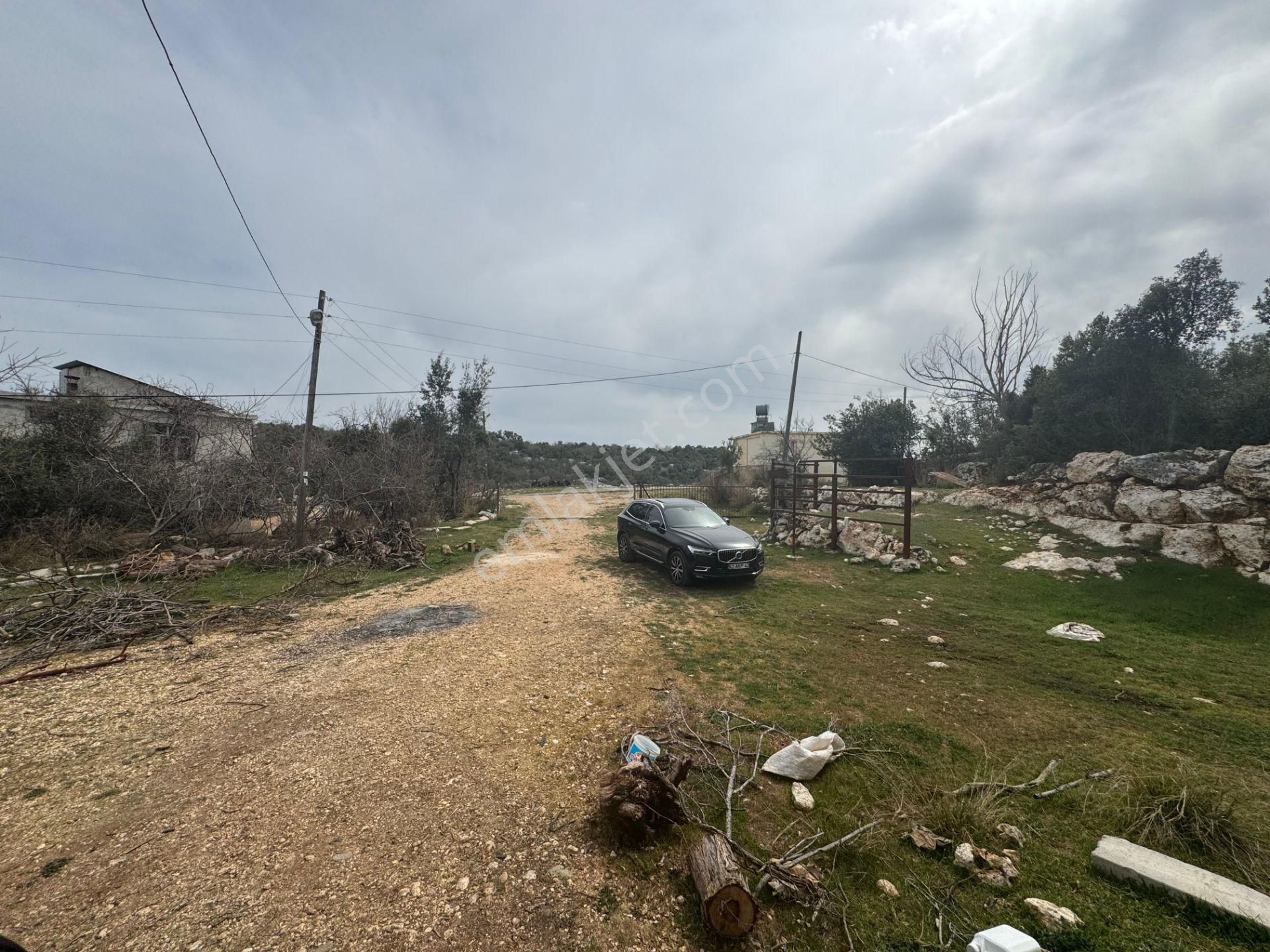 Mersin Silifke Ovacık'da Satılık Çiftlik - Görsel 15