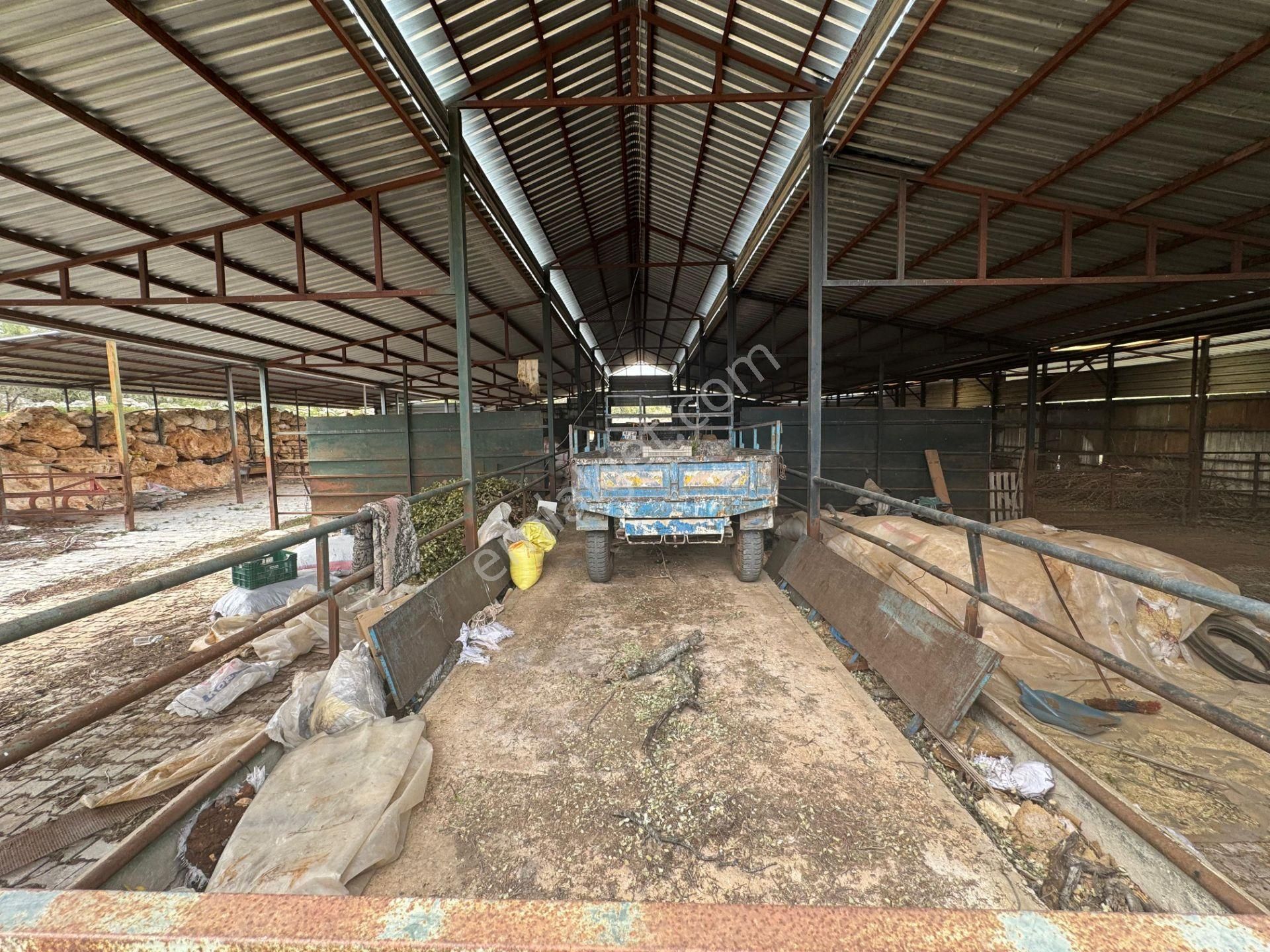 Mersin Silifke Ovacık'da Satılık Çiftlik - Görsel 17