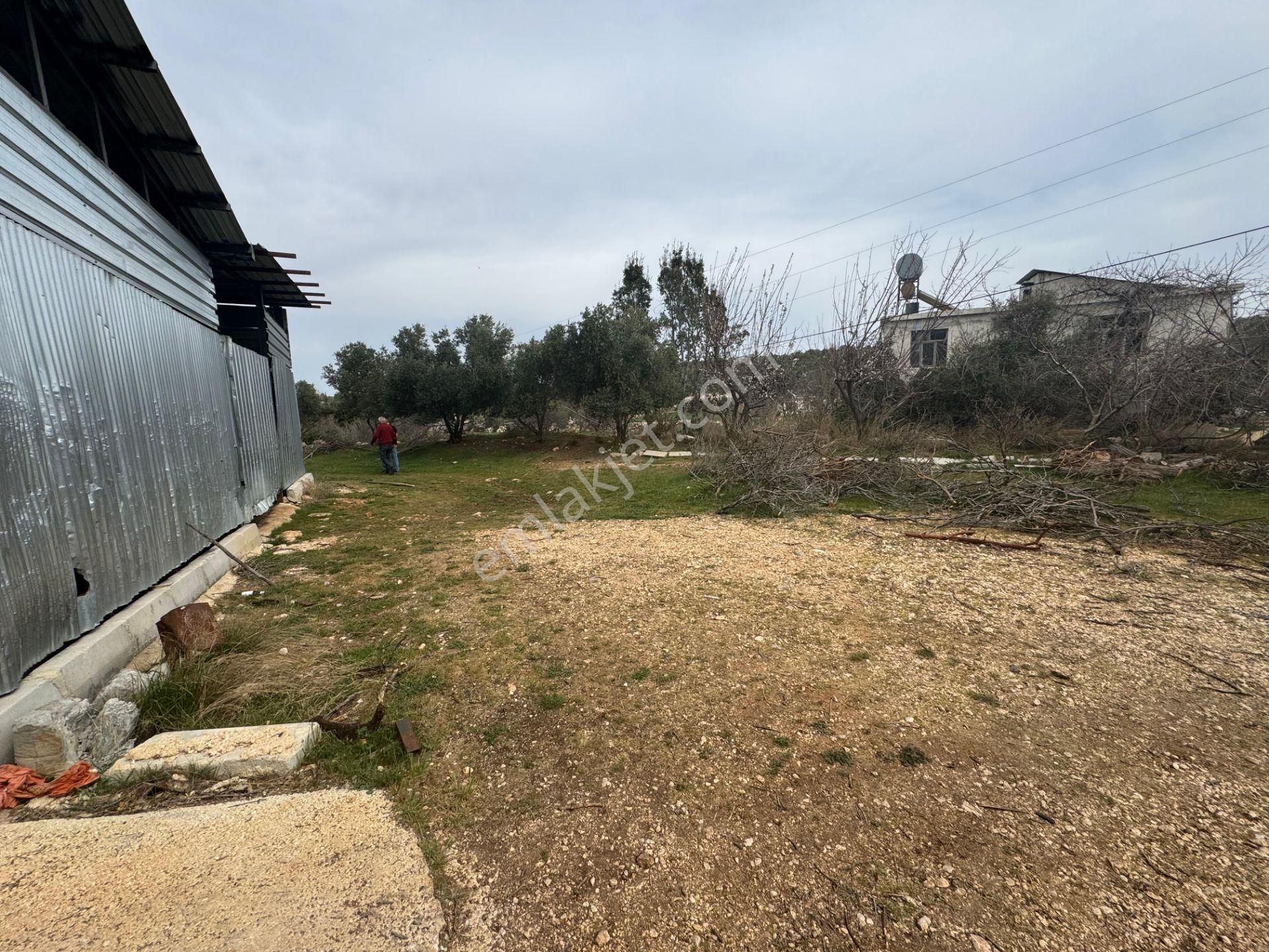 Mersin Silifke Ovacık'da Satılık Çiftlik - Görsel 16