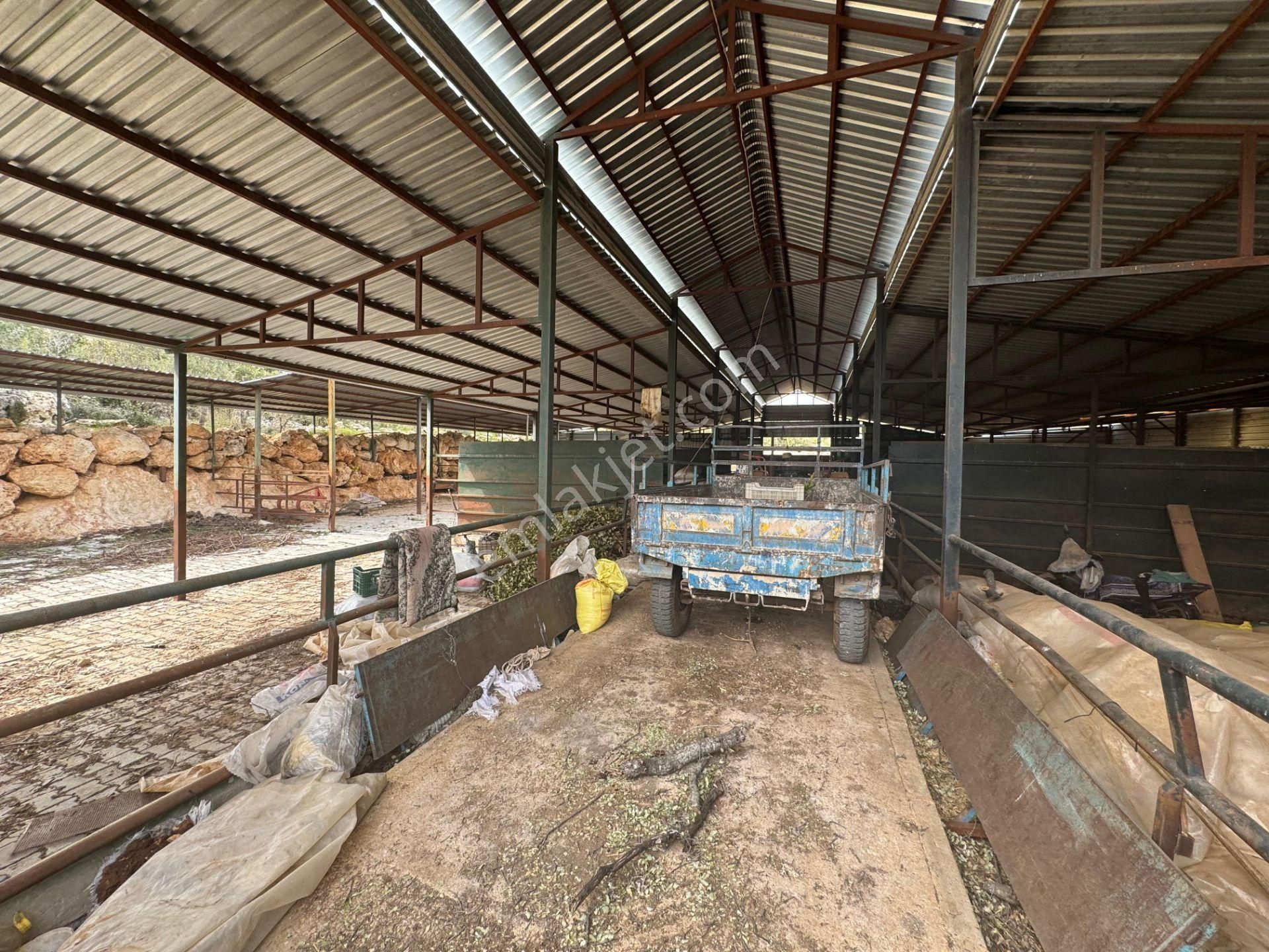 Mersin Silifke Ovacık'da Satılık Çiftlik - Görsel 14