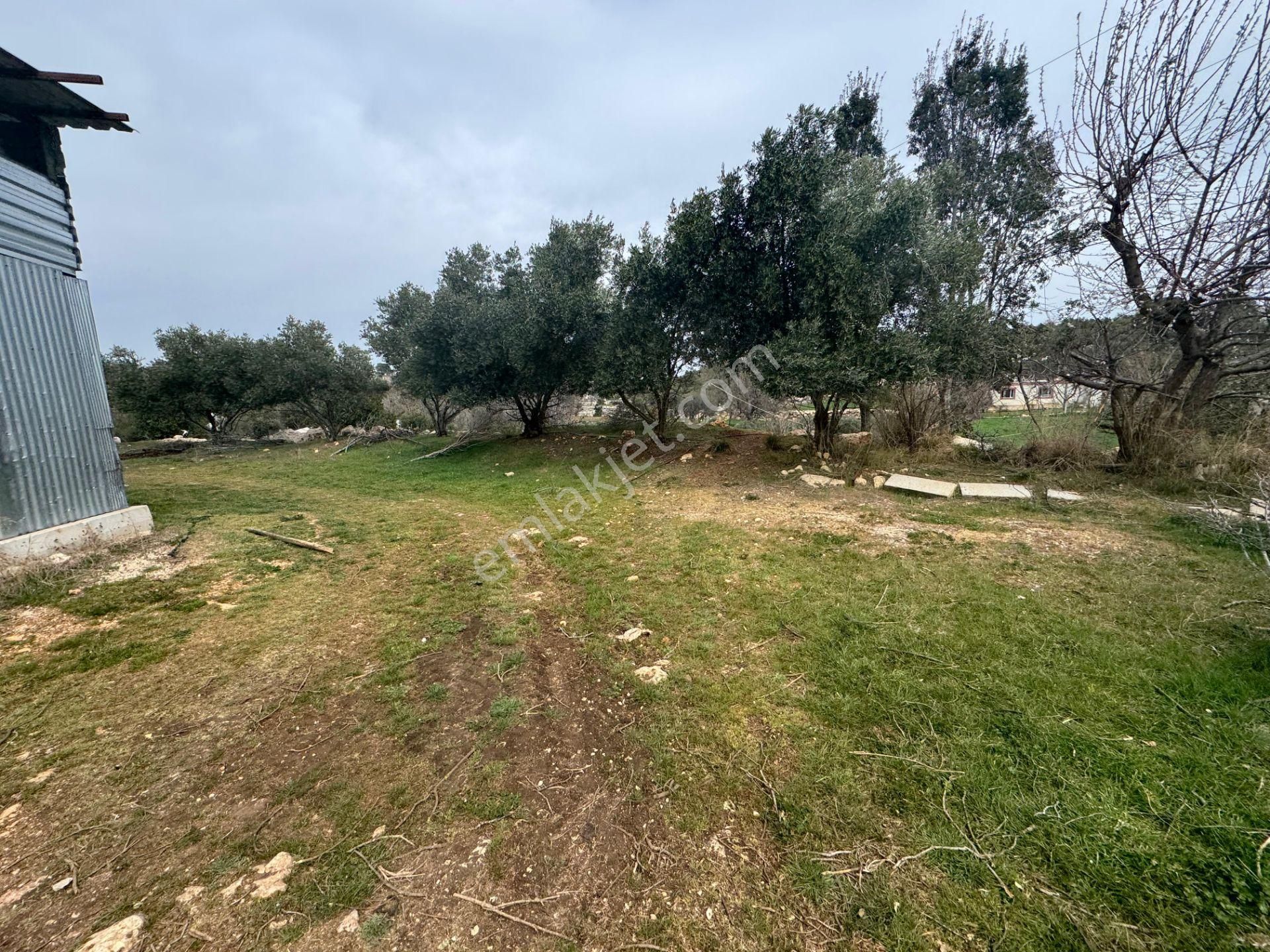 Mersin Silifke Ovacık'da Satılık Çiftlik - Görsel 18