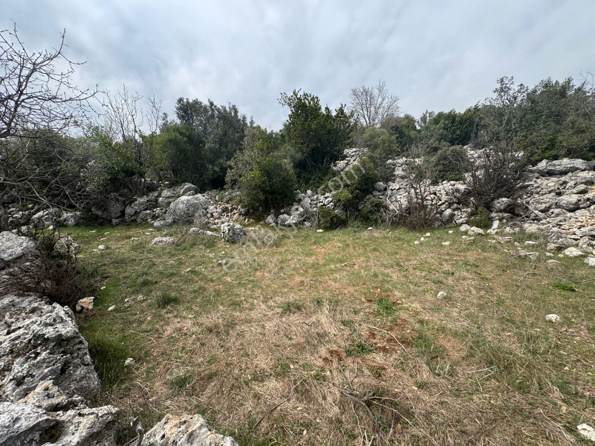 Mersin Silifke Ovacık'da Satılık Çiftlik - Görsel 26