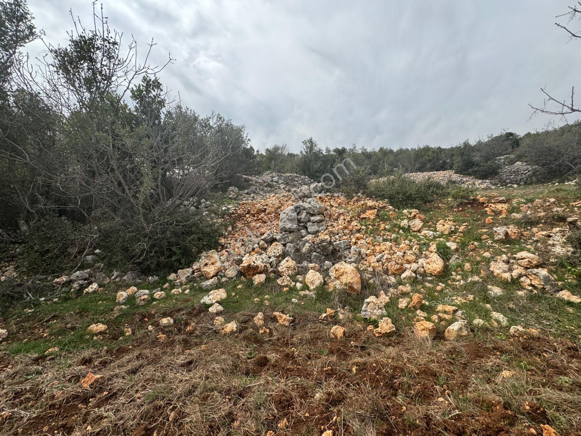 Mersin Silifke Ovacık'da Satılık Çiftlik - Görsel 24