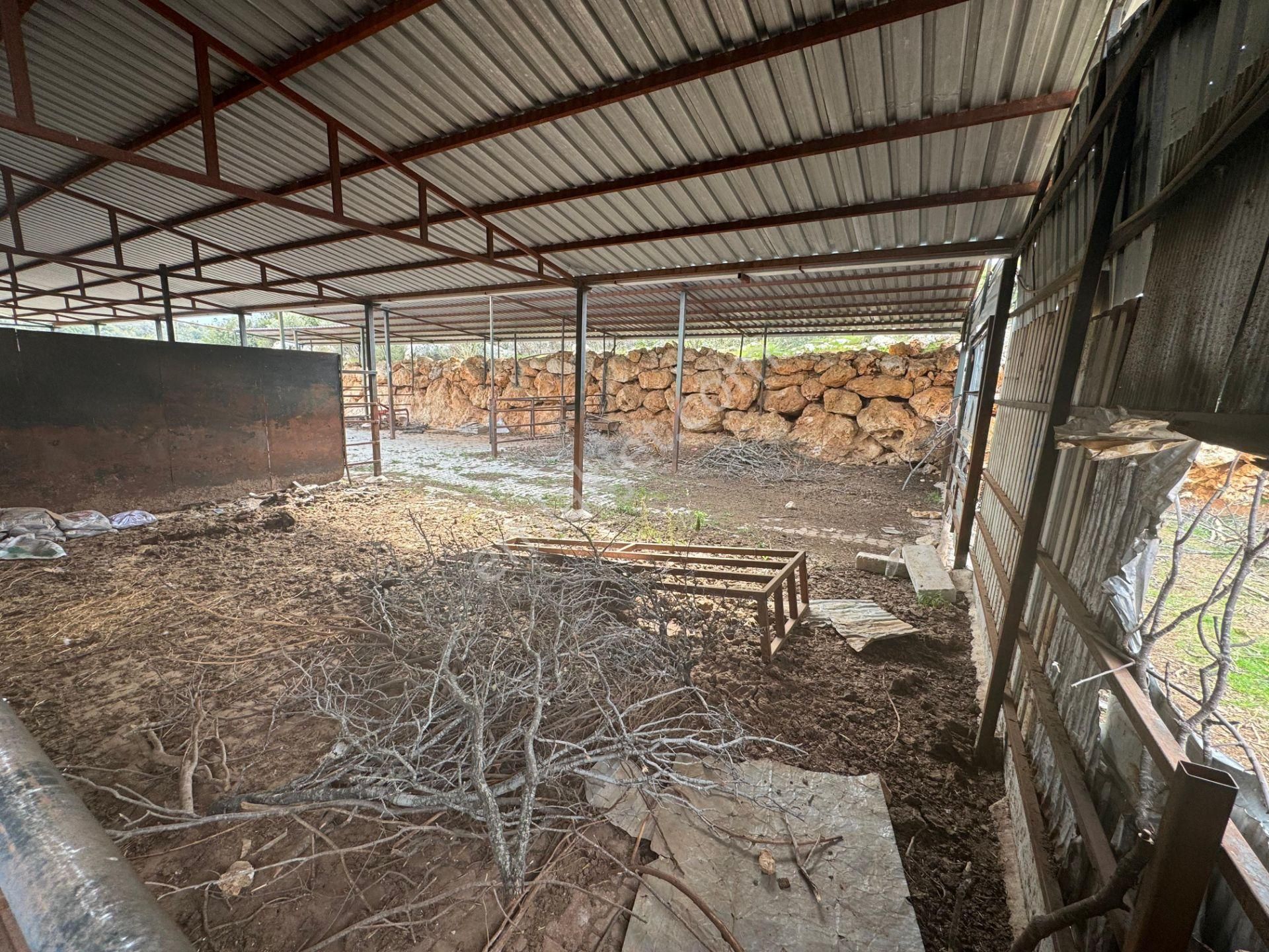 Mersin Silifke Ovacık'da Satılık Çiftlik - Görsel 5