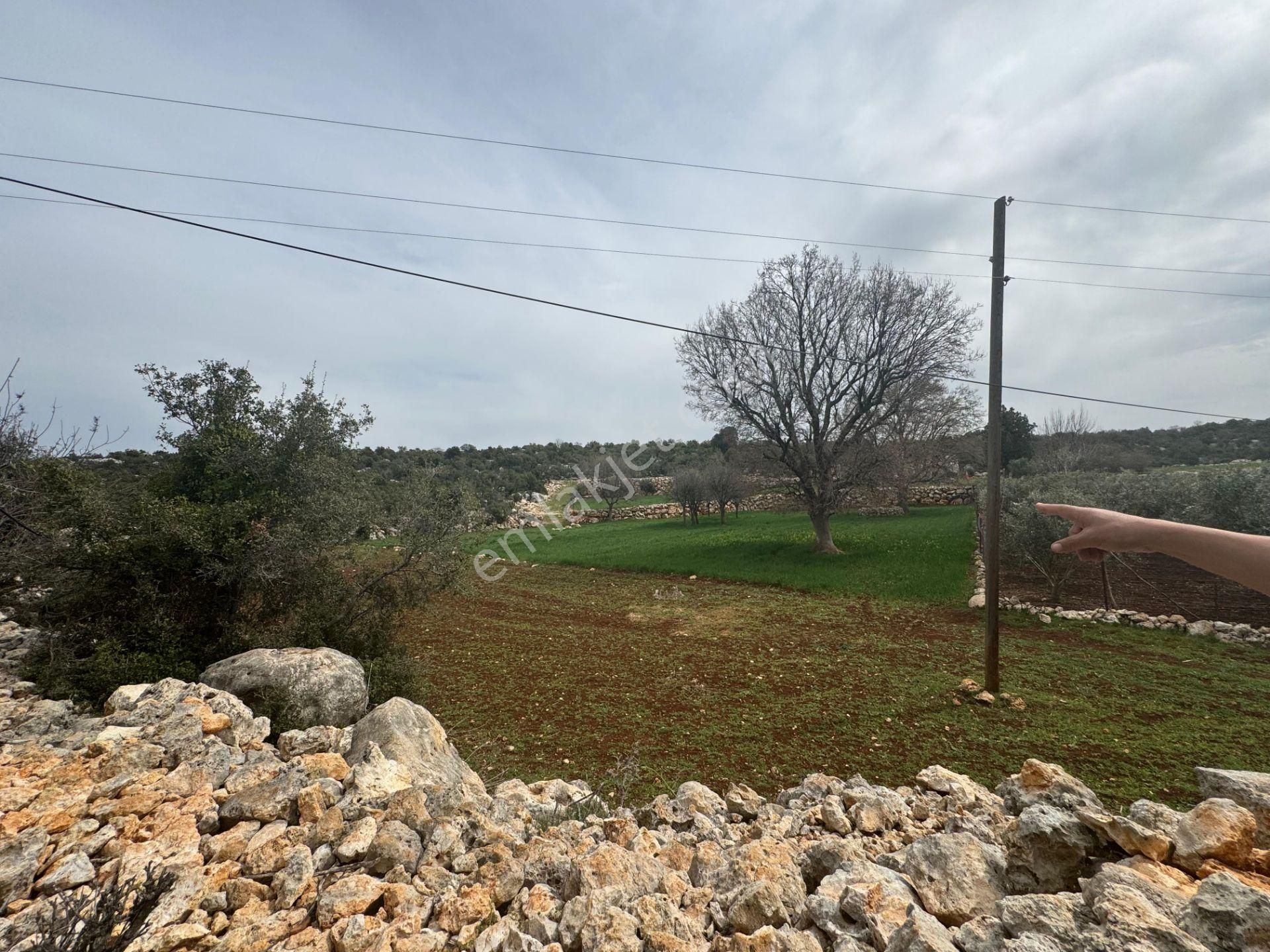 Mersin Silifke Ovacık'da Satılık Çiftlik - Görsel 25