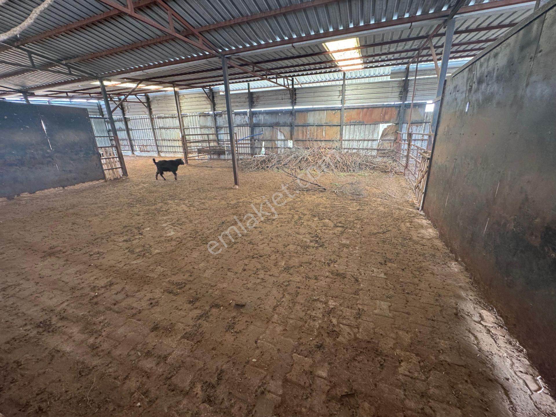 Mersin Silifke Ovacık'da Satılık Çiftlik - Görsel 11