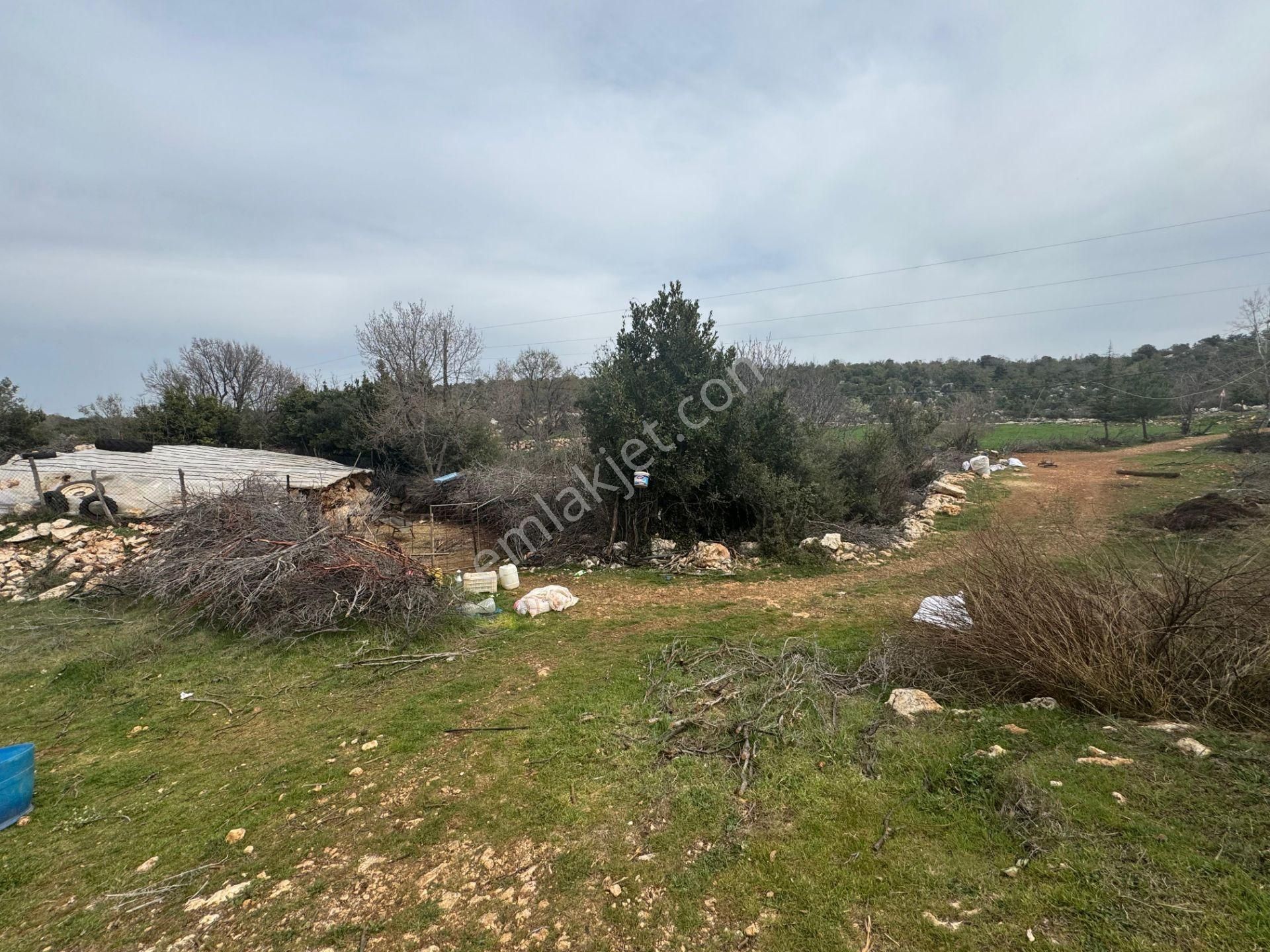 Mersin Silifke Ovacık'da Satılık Çiftlik - Görsel 23