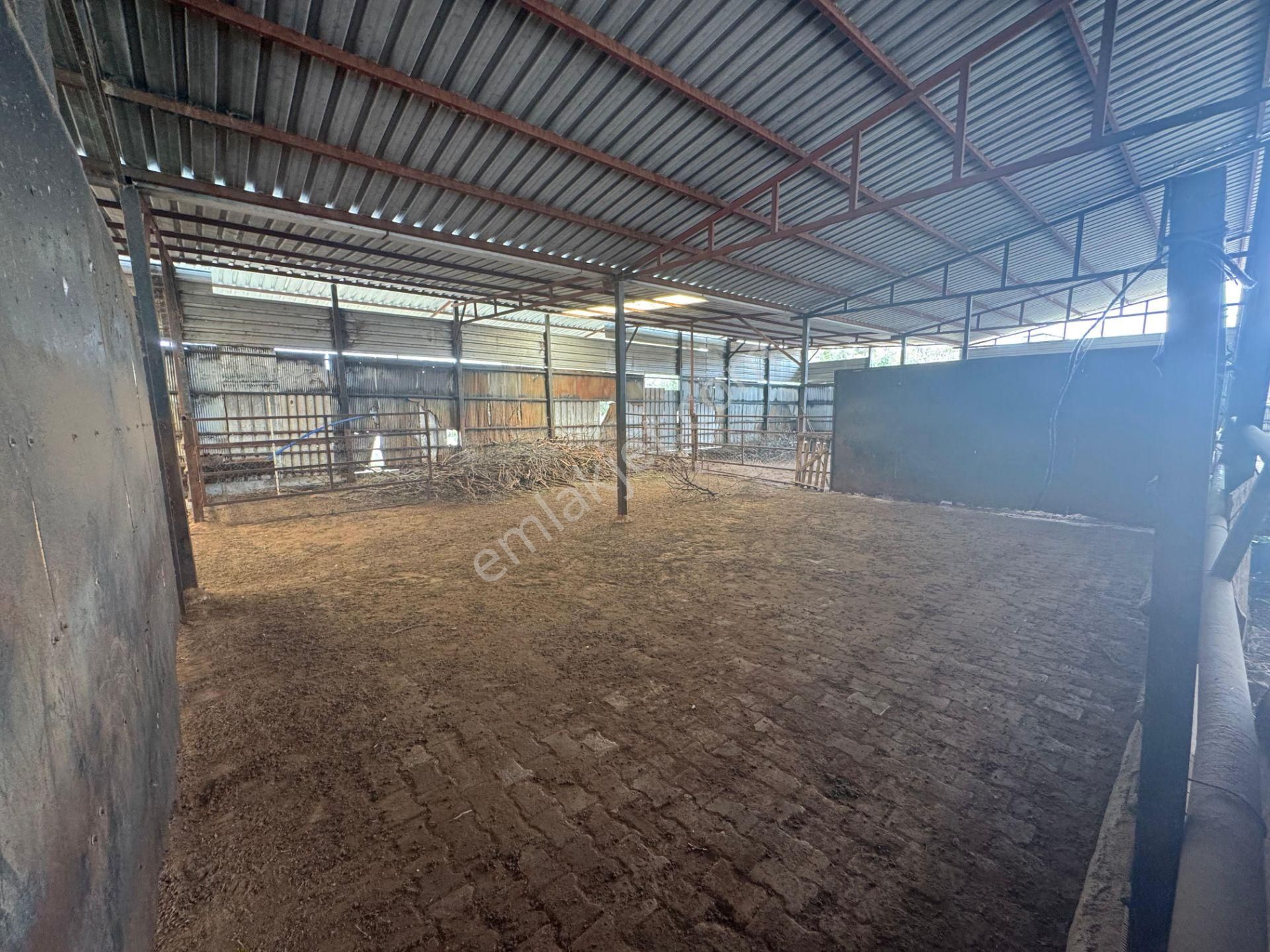 Mersin Silifke Ovacık'da Satılık Çiftlik - Görsel 8