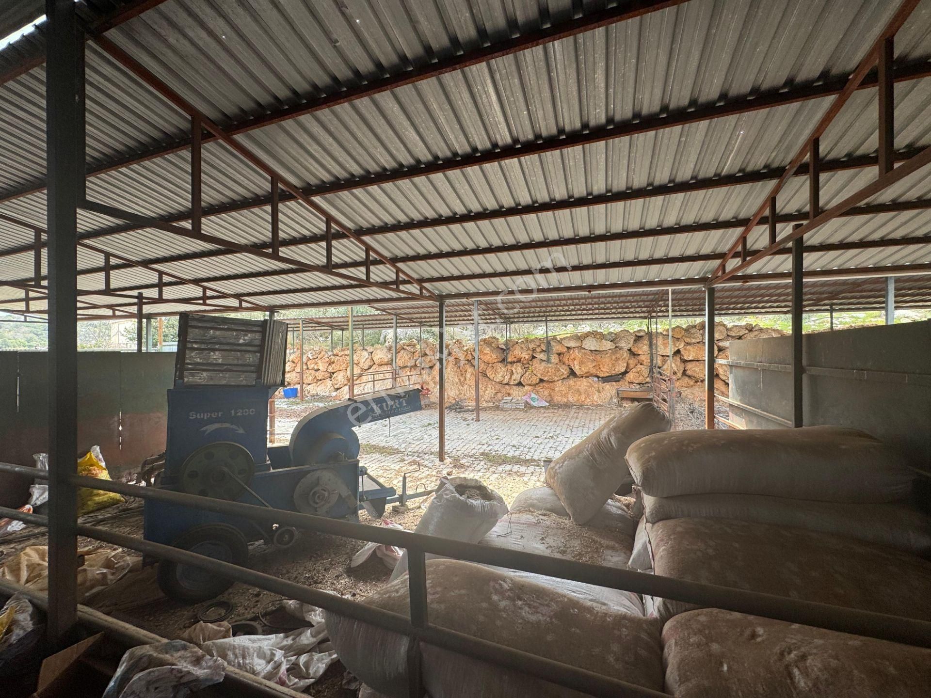 Mersin Silifke Ovacık'da Satılık Çiftlik - Görsel 12