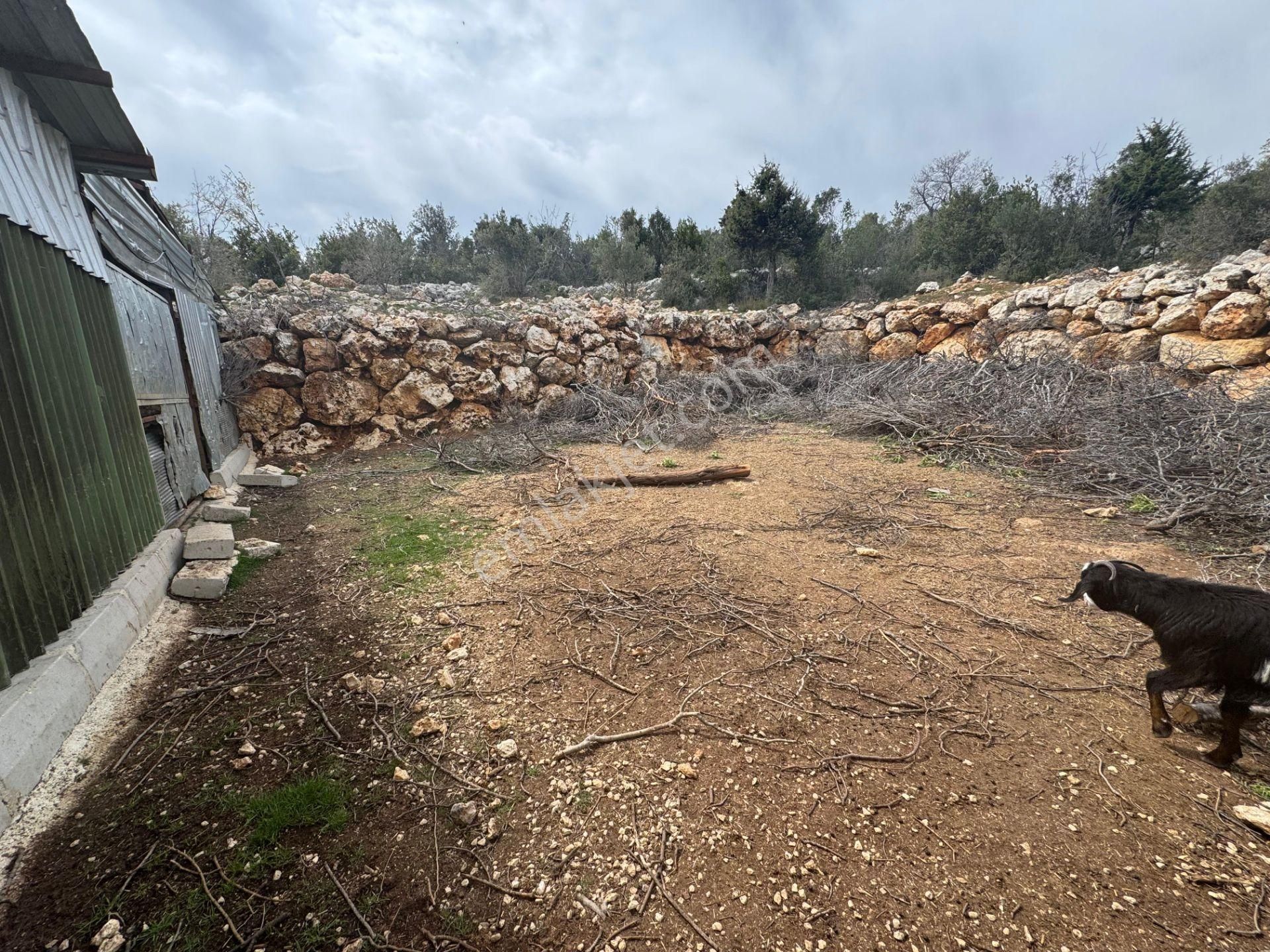 Mersin Silifke Ovacık'da Satılık Çiftlik - Görsel 2