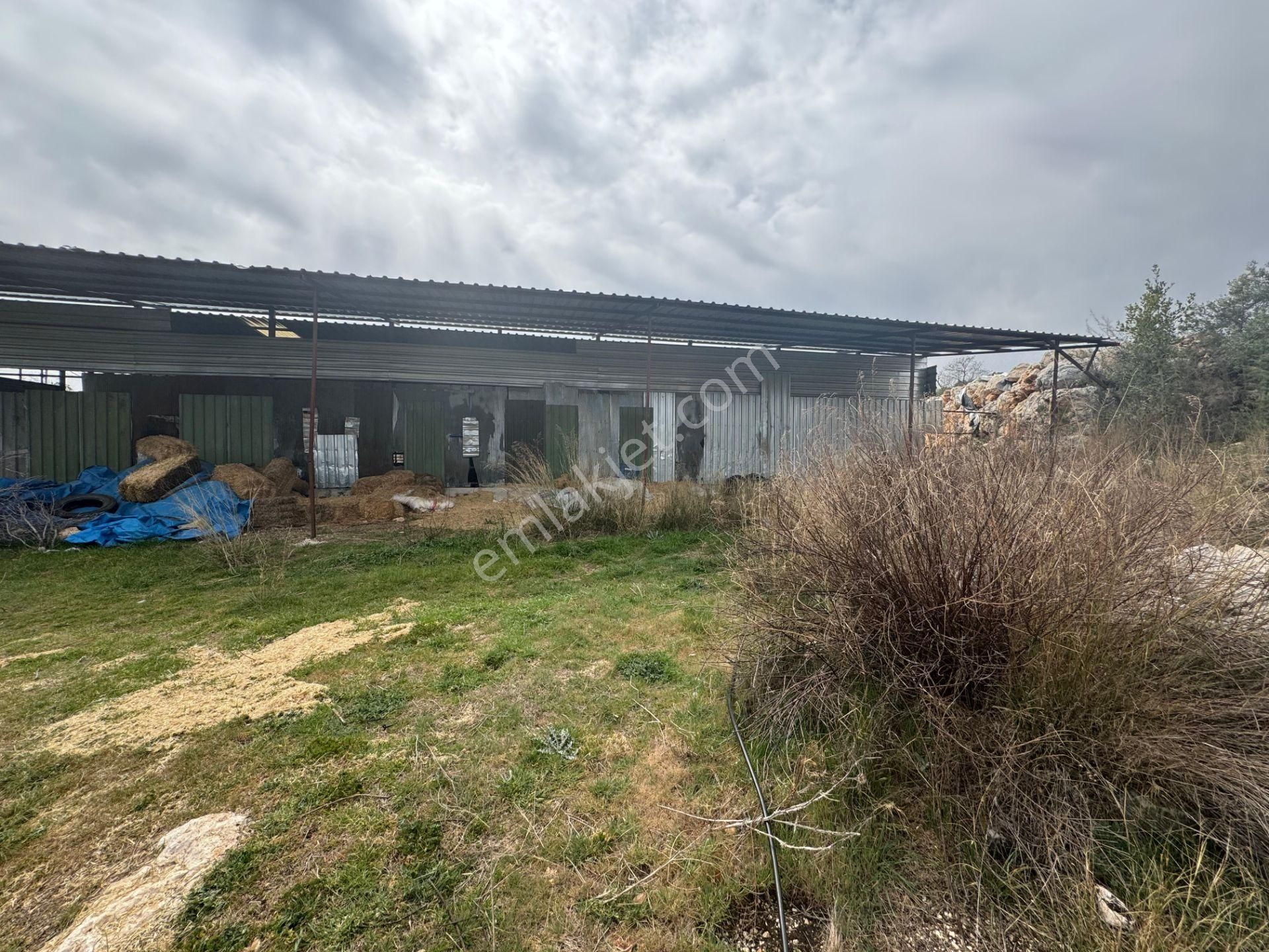 Mersin Silifke Ovacık'da Satılık Çiftlik - Görsel 20