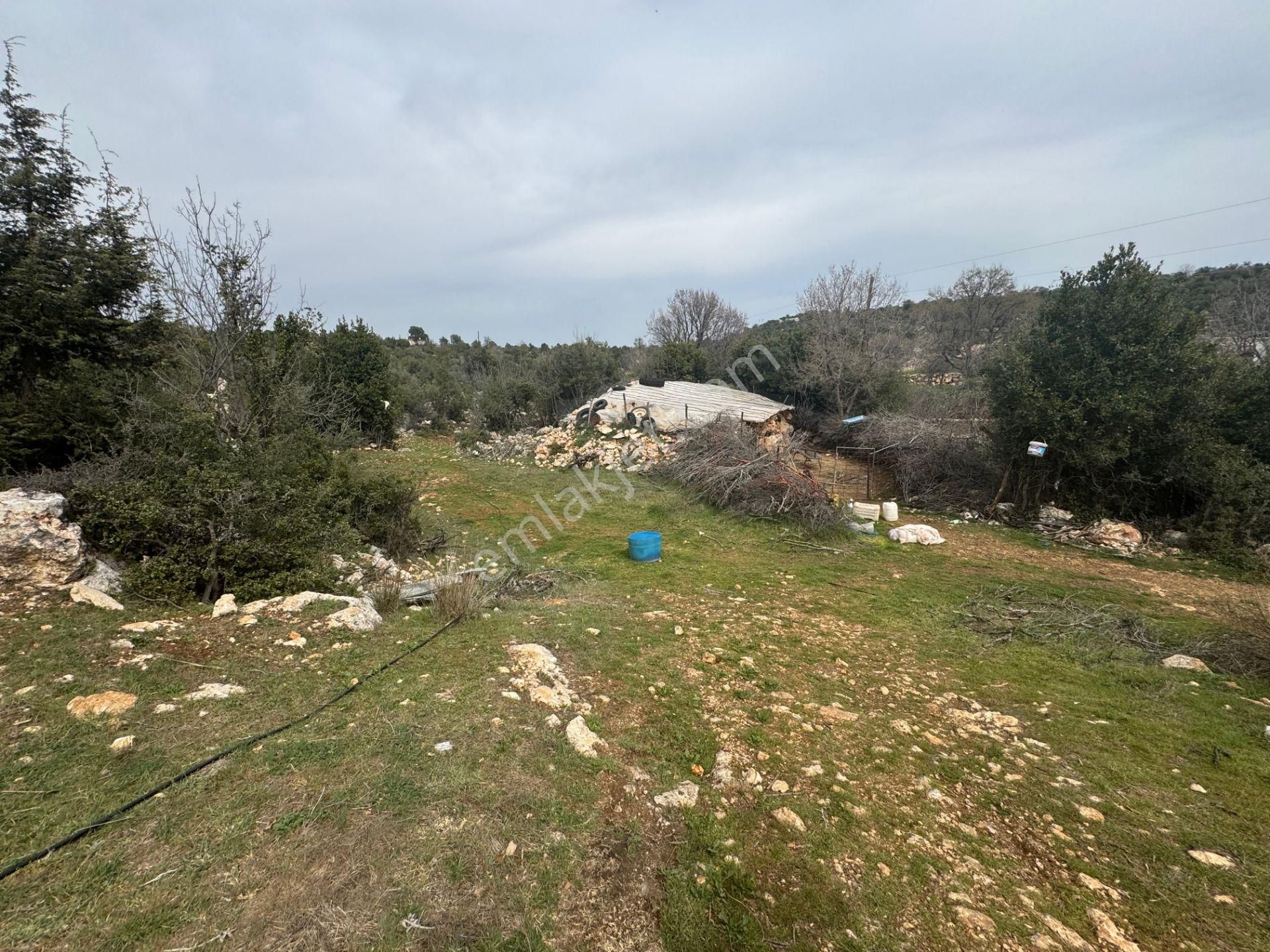 Mersin Silifke Ovacık'da Satılık Çiftlik - Görsel 22