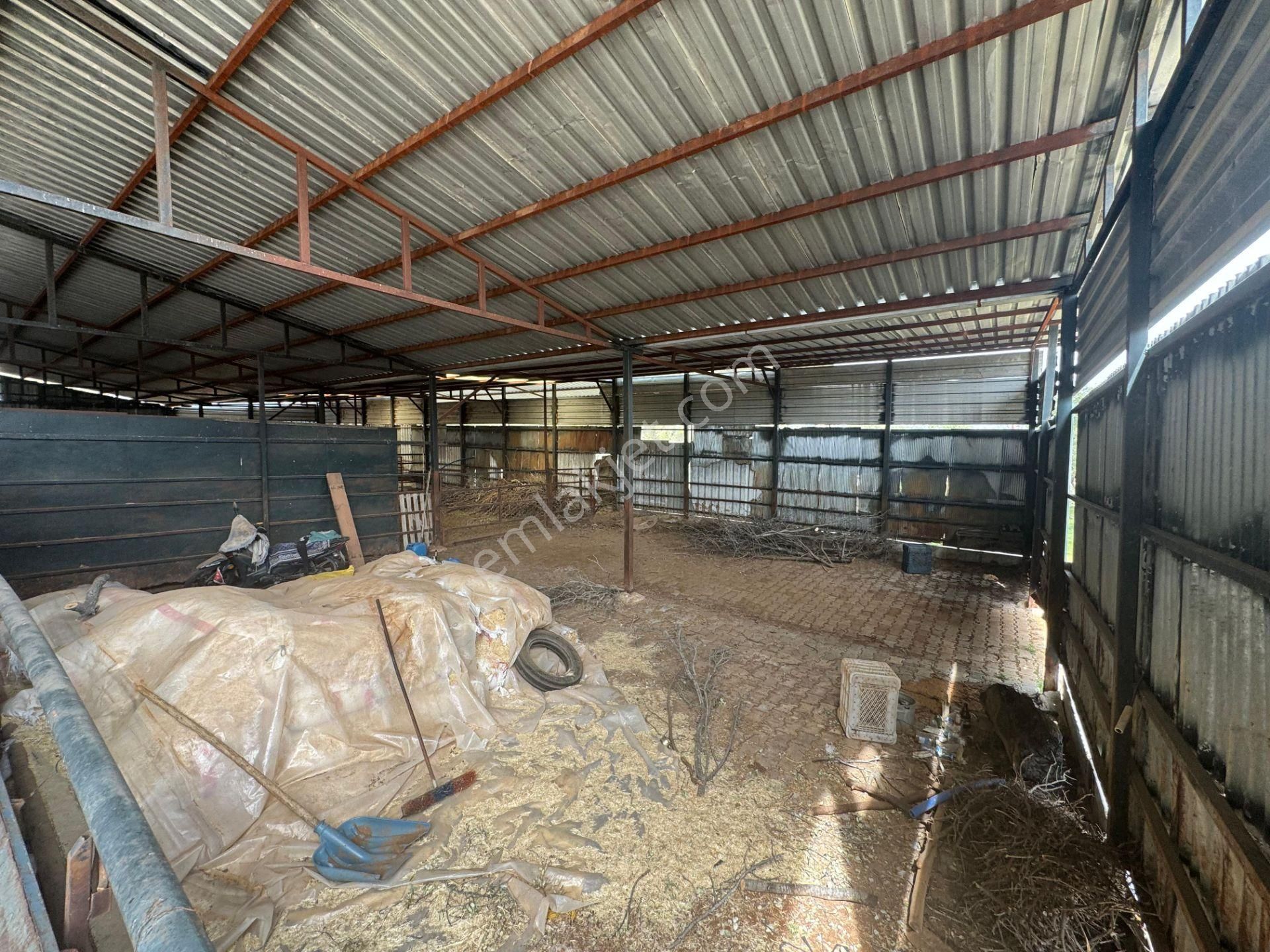 Mersin Silifke Ovacık'da Satılık Çiftlik - Görsel 13