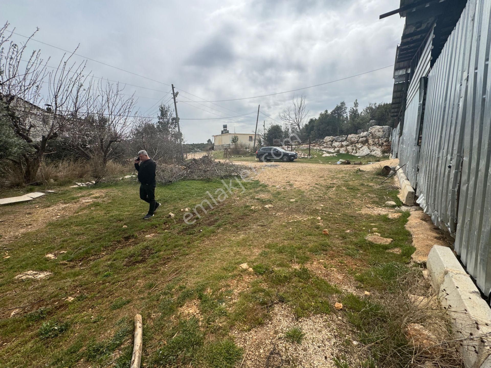 Mersin Silifke Ovacık'da Satılık Çiftlik - Görsel 19