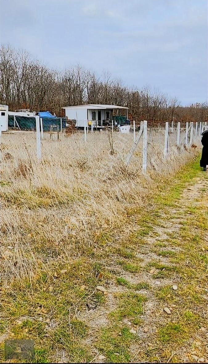 Silivri Büyük Çavuşlu Satılık Bağ & Bahçe İstanbul Silivri Çayırdere