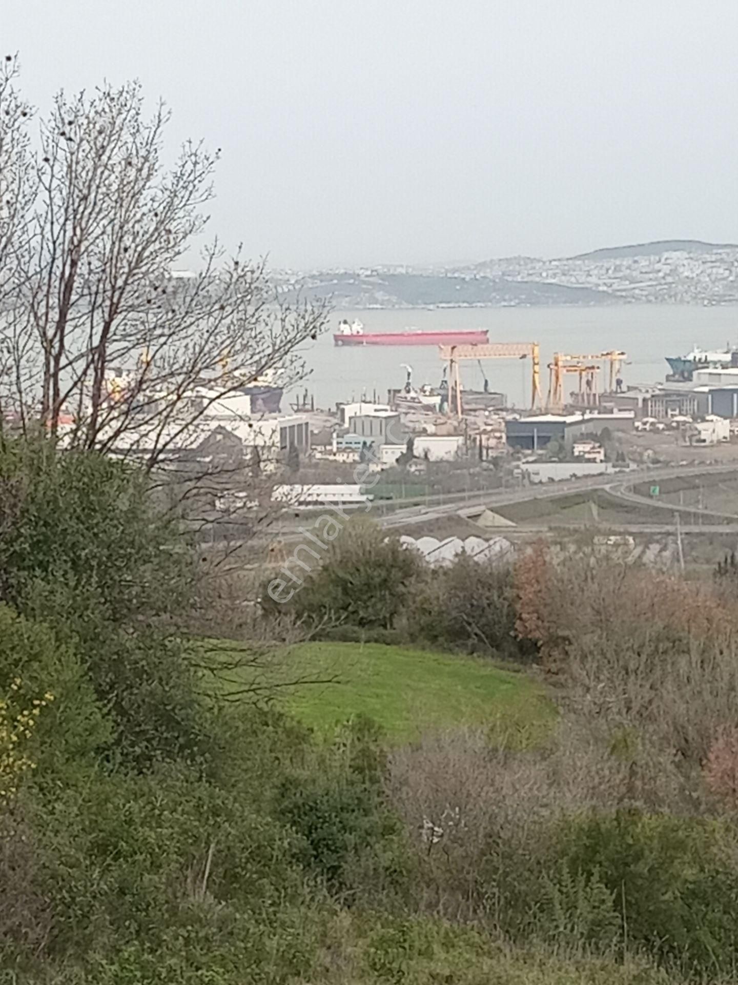 Altınova Çavuşçiftliği Köyü (Devletyolu Üstü) Satılık Tarla Yalova Altınova Çavuşçiftliği , Köprü Ve Deniz Manzaralı Tarla